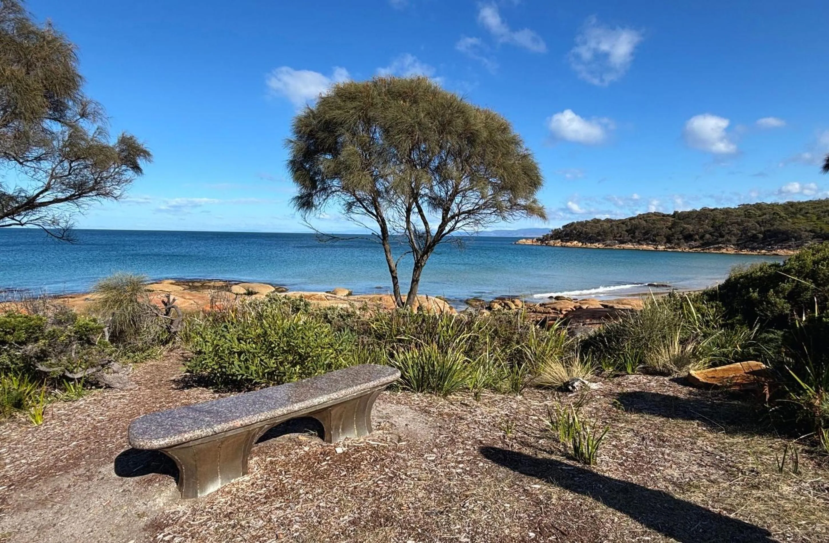 Garden in Edge of the Bay