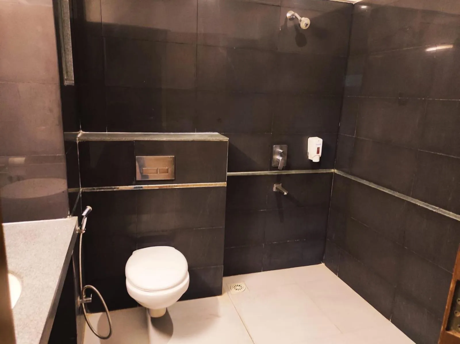 Toilet in Krishna Inn - Royal Hotels