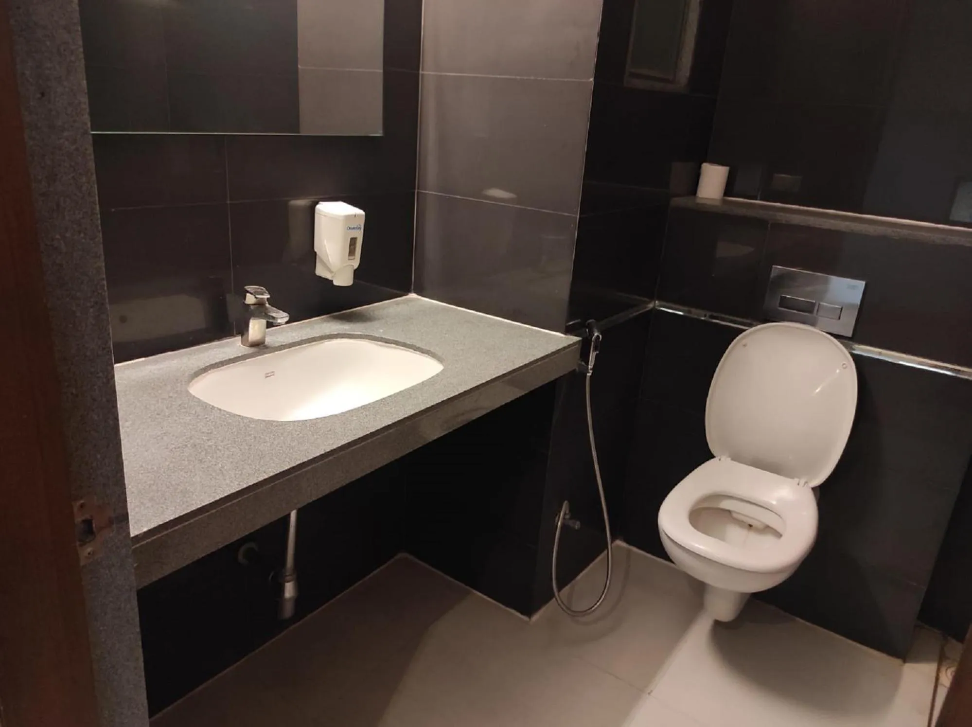 Toilet in Krishna Inn - Royal Hotels