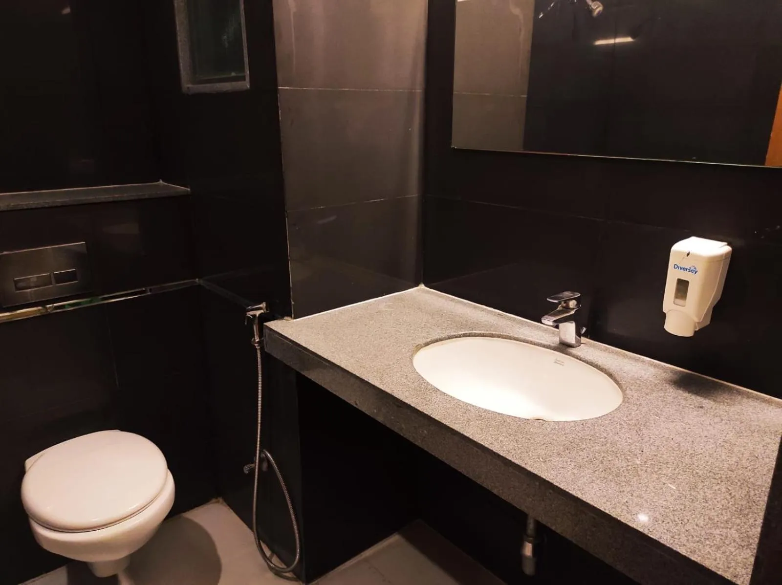 Toilet in Krishna Inn - Royal Hotels