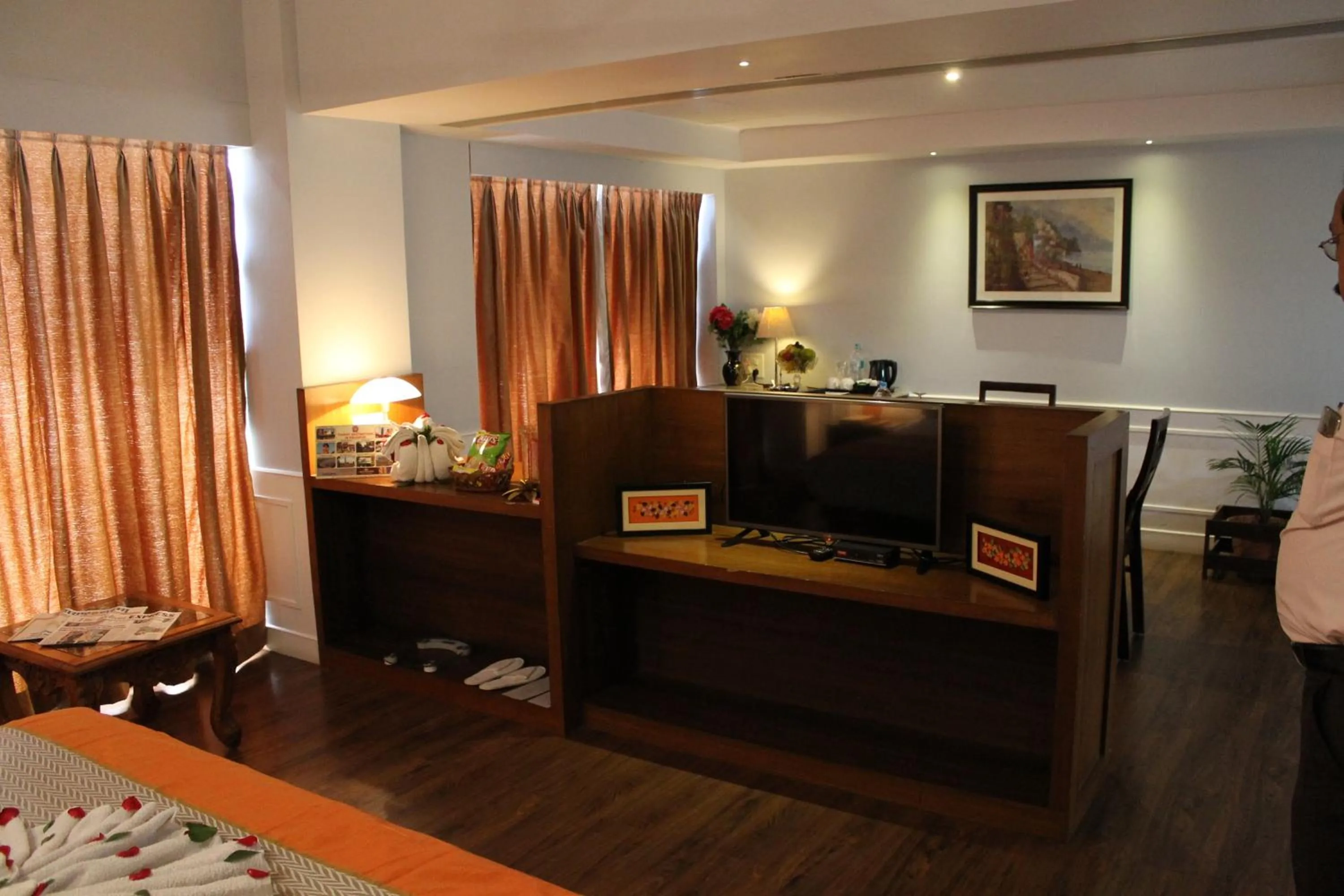 TV and multimedia in Krishna Inn - Royal Hotels
