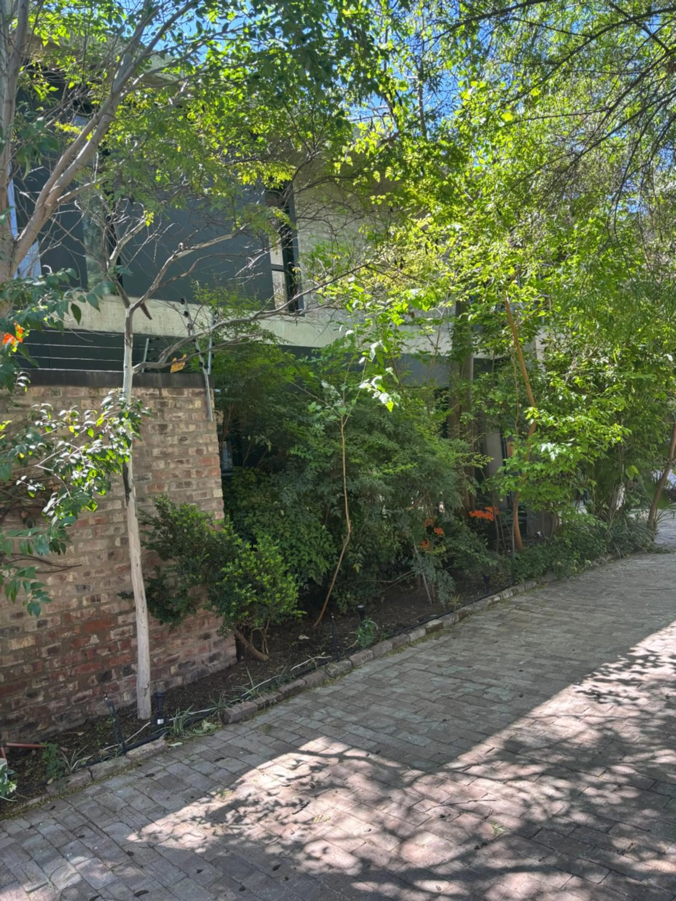 The Bright House Villa