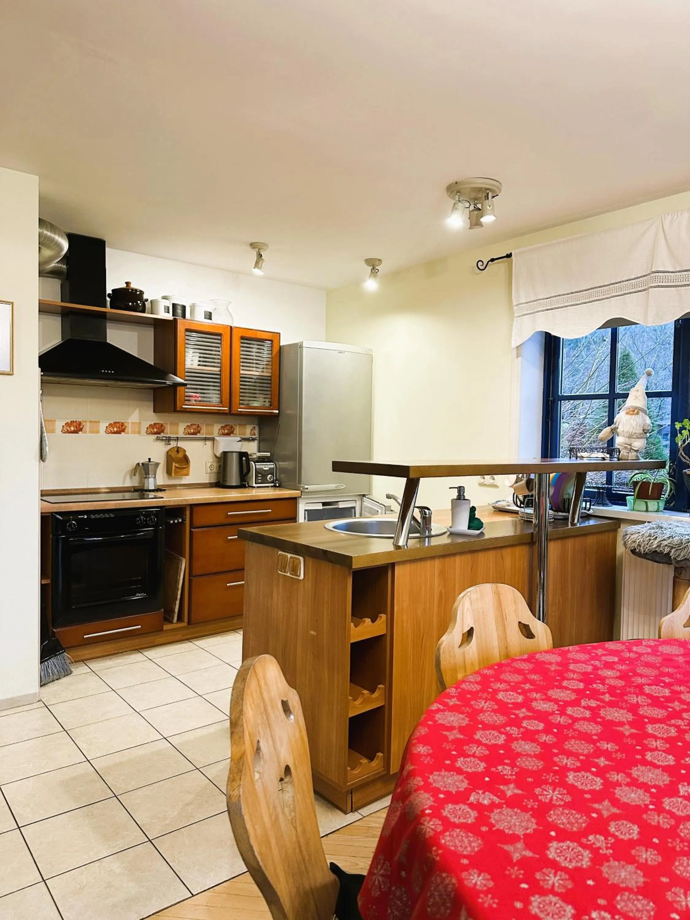 kitchen in North Lakeside Villa Plateliai