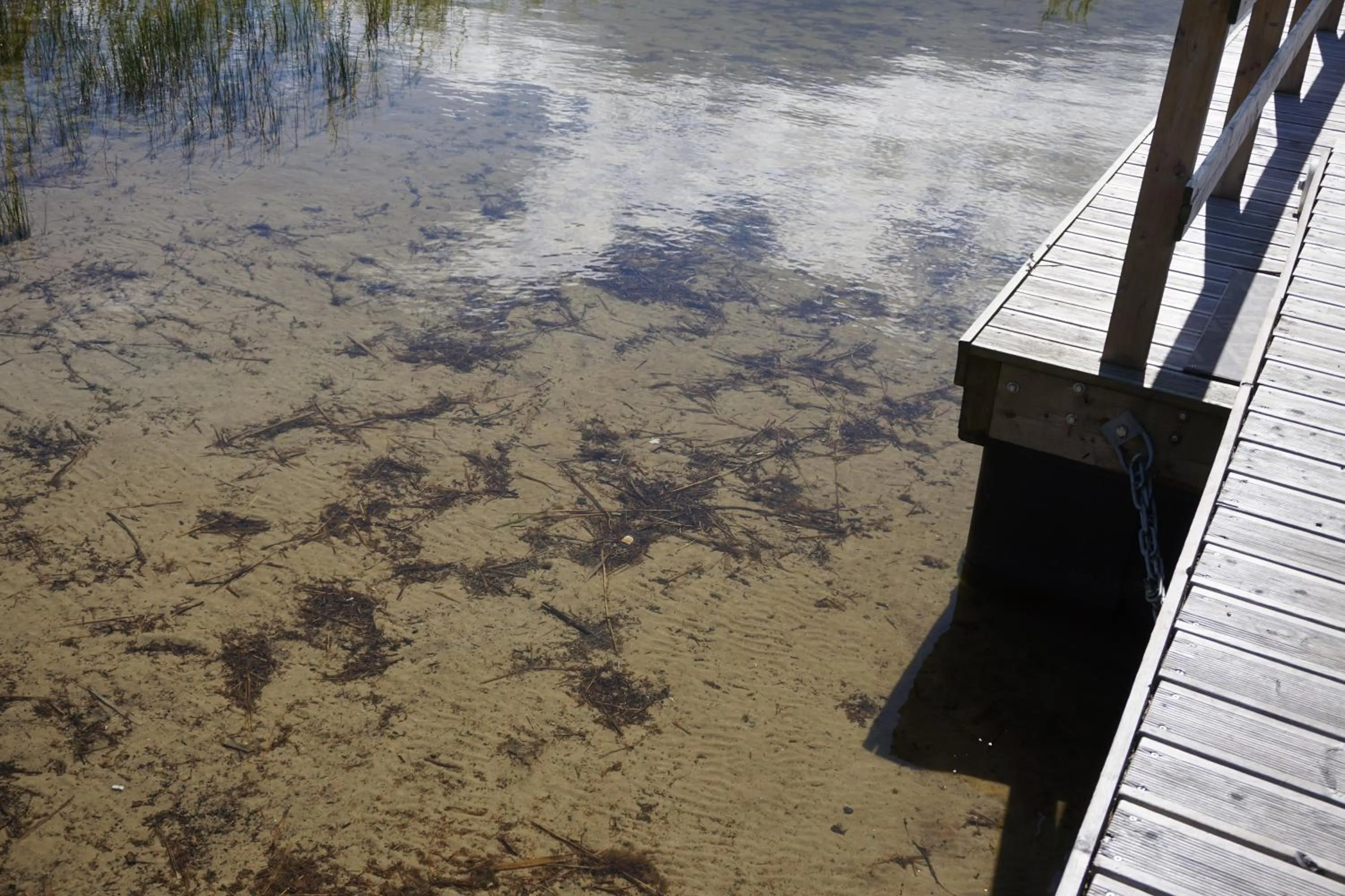 Property building in North Lakeside Villa Plateliai