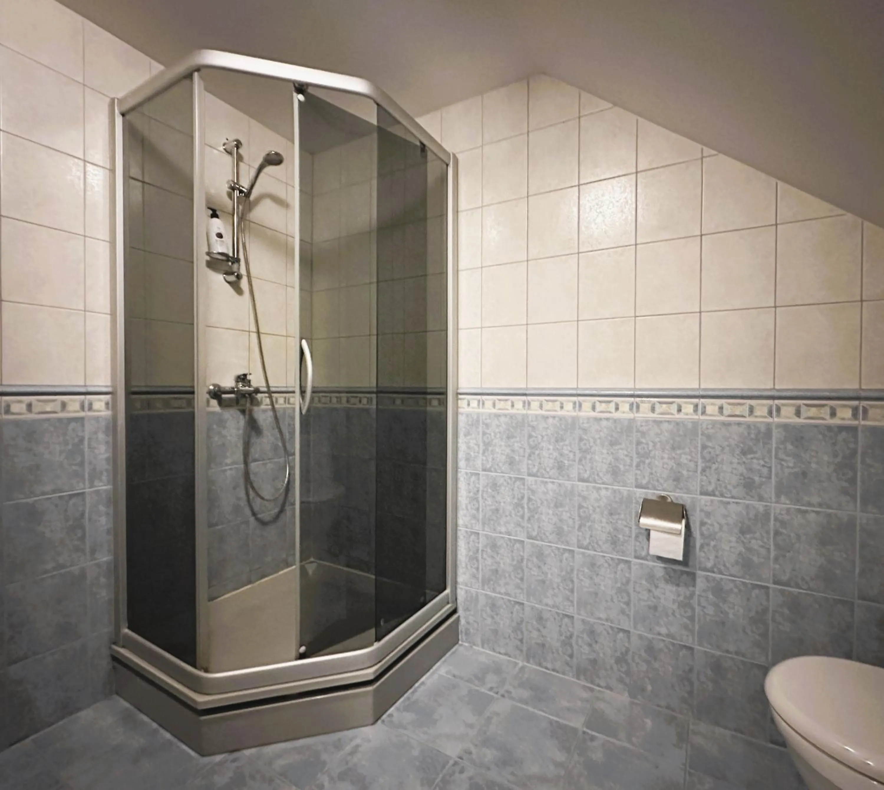 Shower in North Lakeside Villa Plateliai