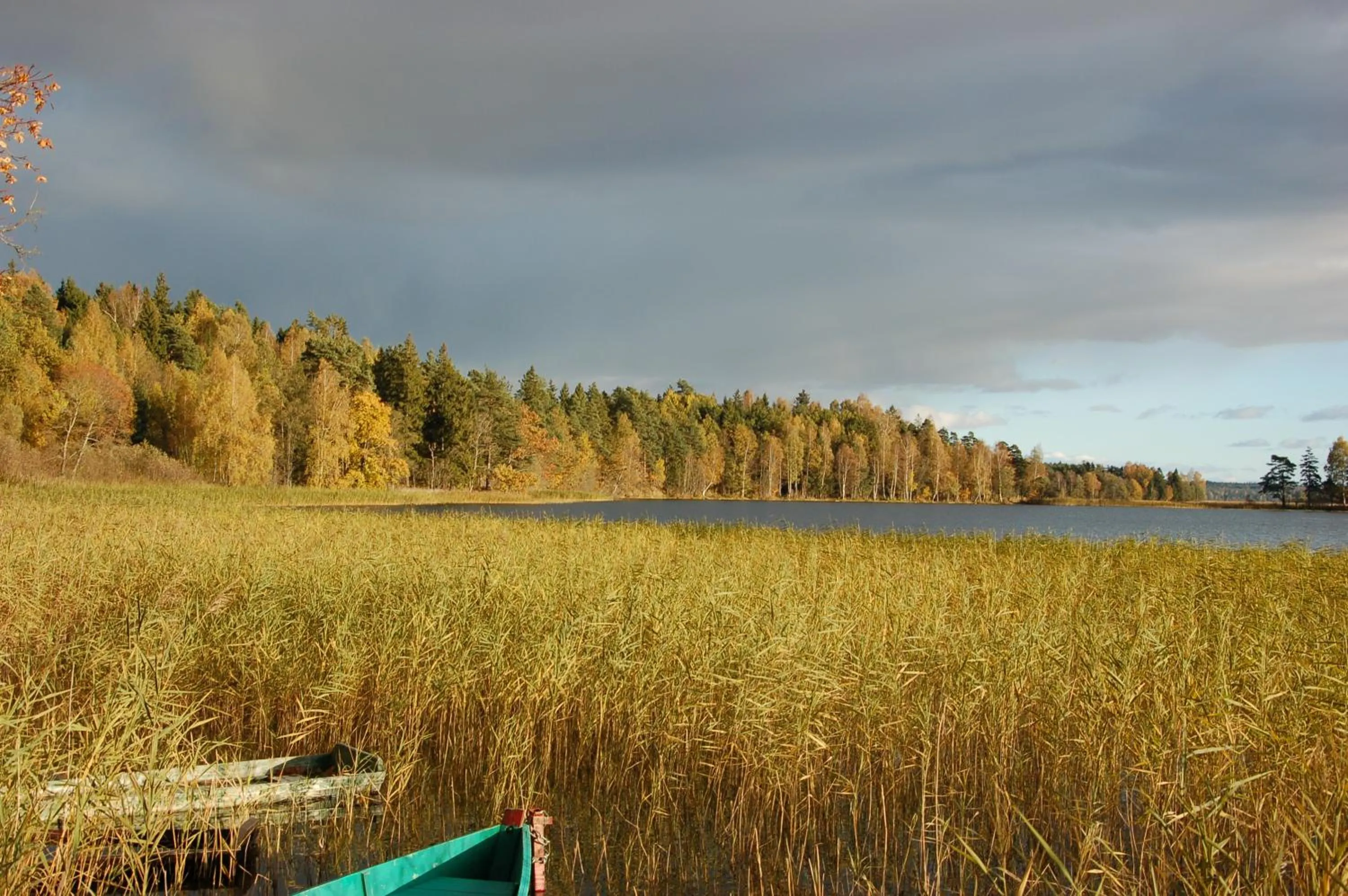 Property building in North Lakeside Villa Plateliai