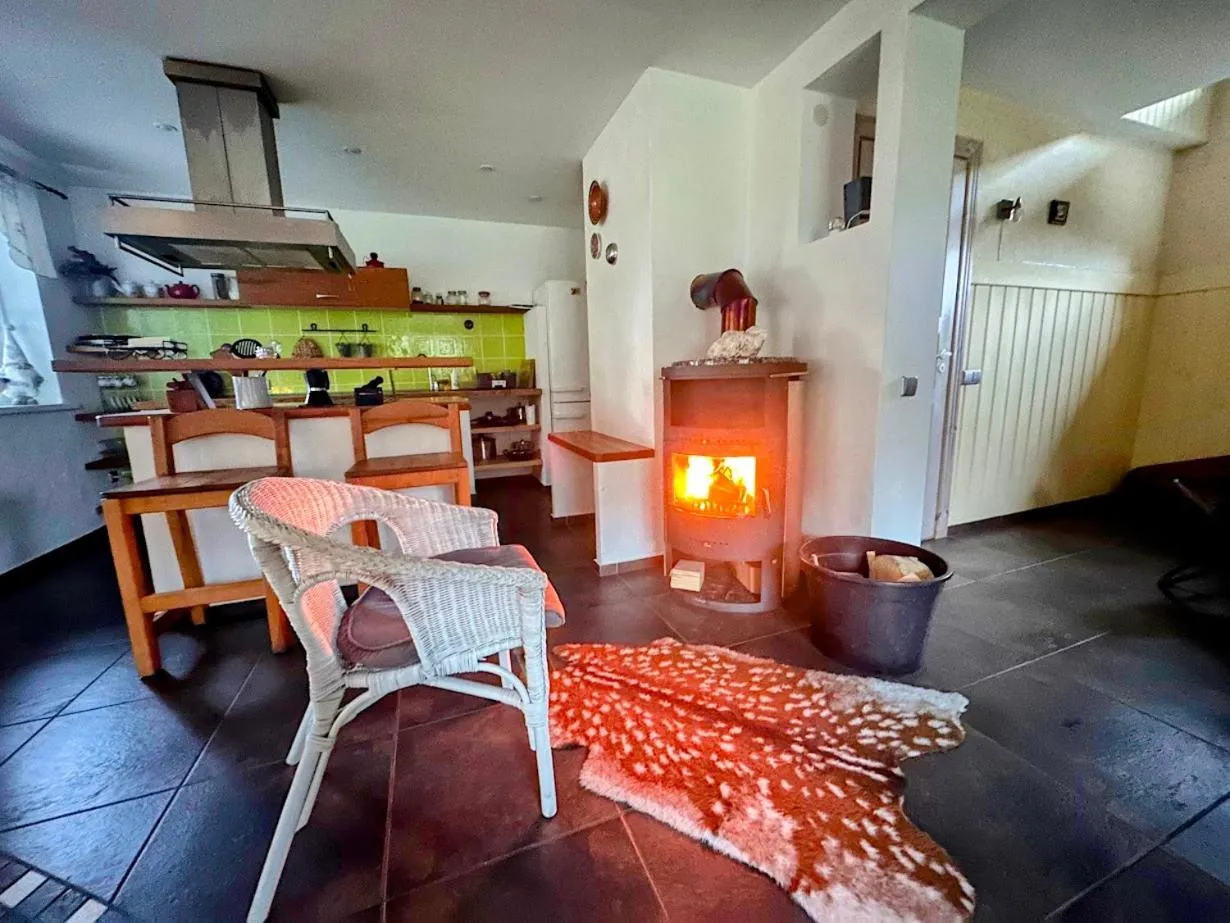 fireplace in North Lakeside Villa Plateliai