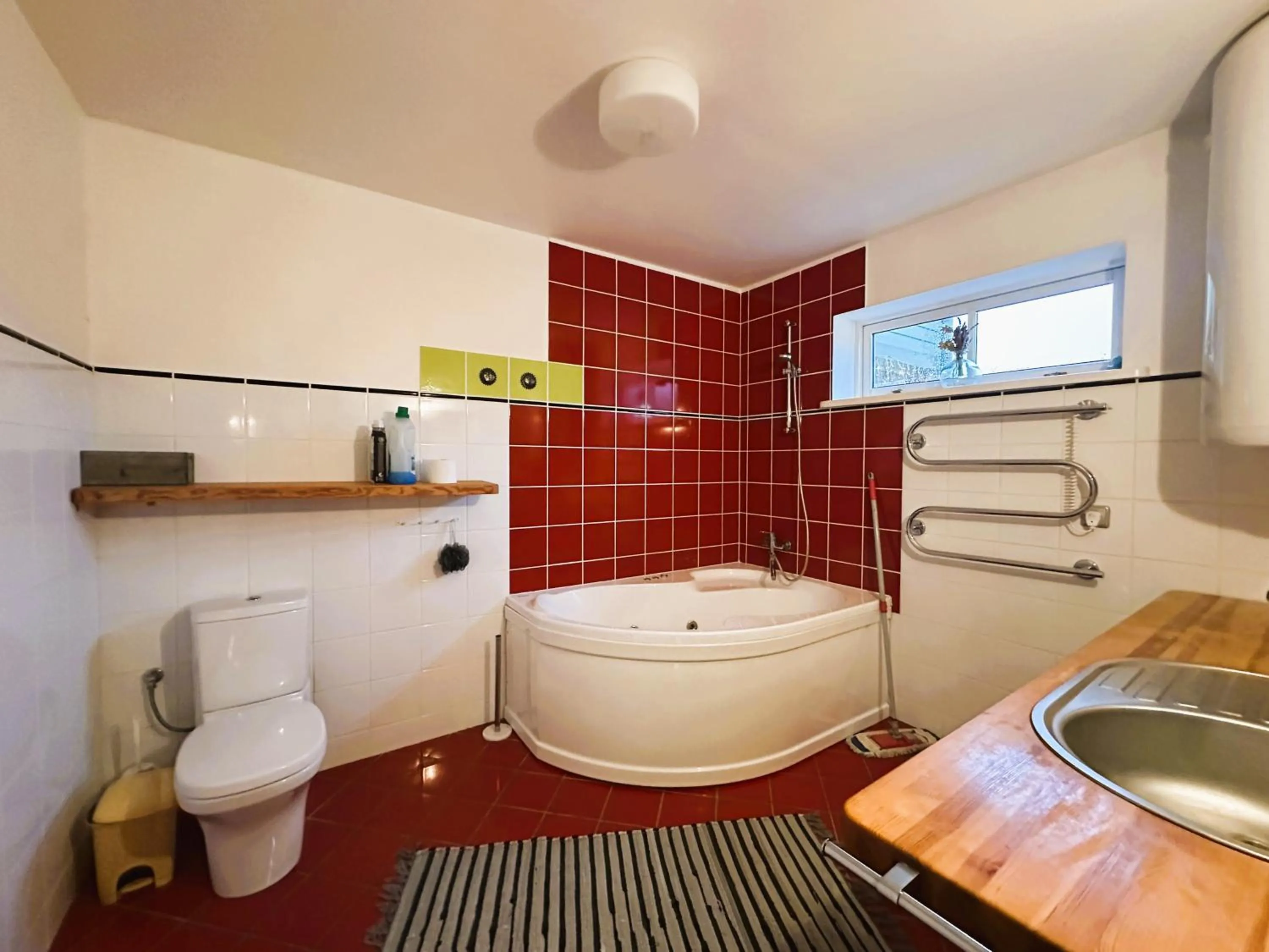 Bathroom in North Lakeside Villa Plateliai