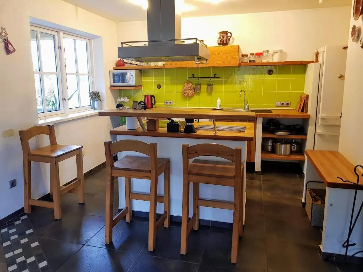 Kitchen or kitchenette in North Lakeside Villa Plateliai