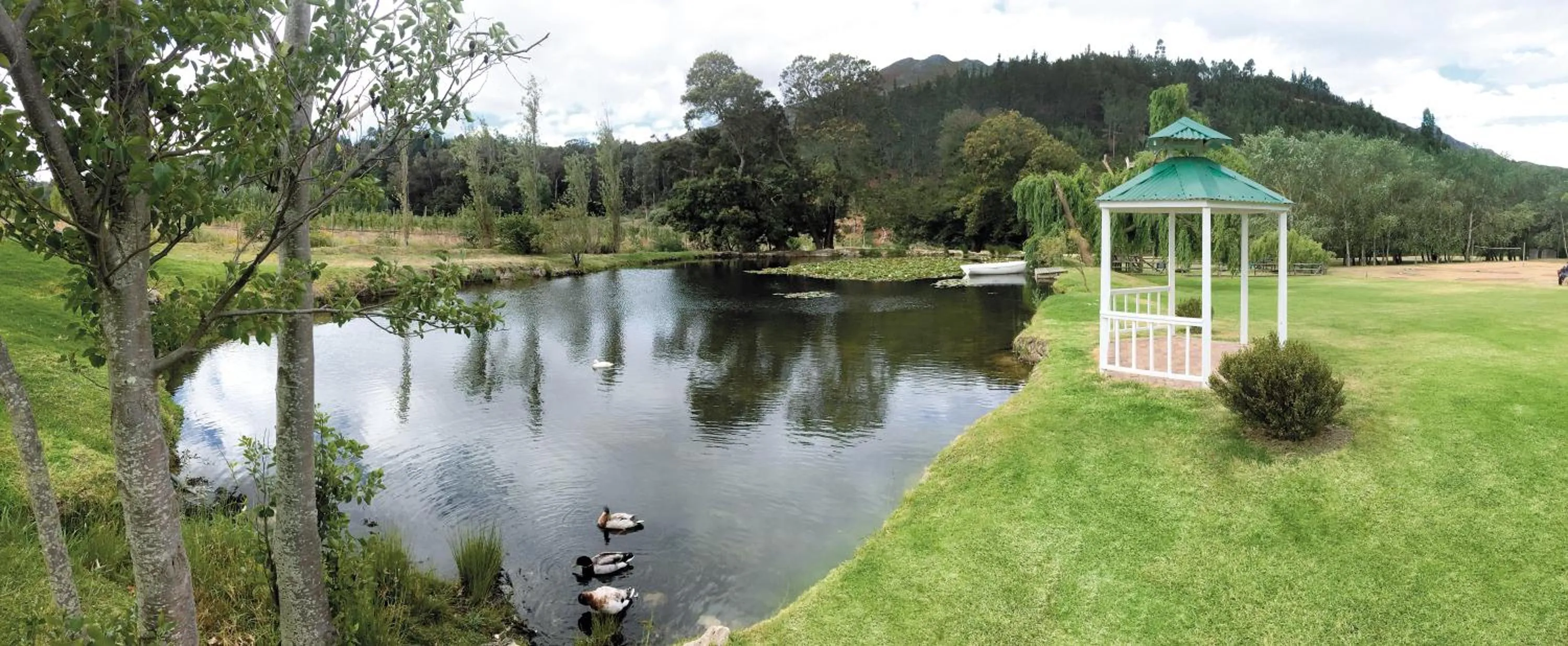 Natural landscape in Houw Hoek Hotel