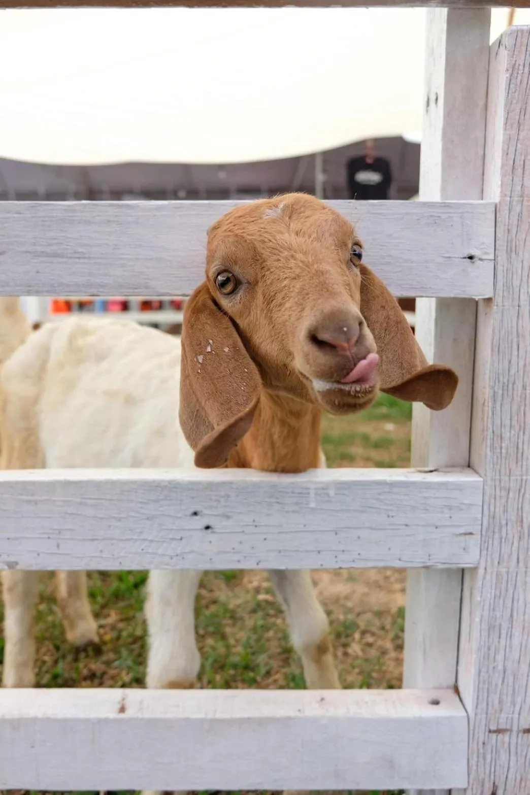 Wangyao Riverside Resort