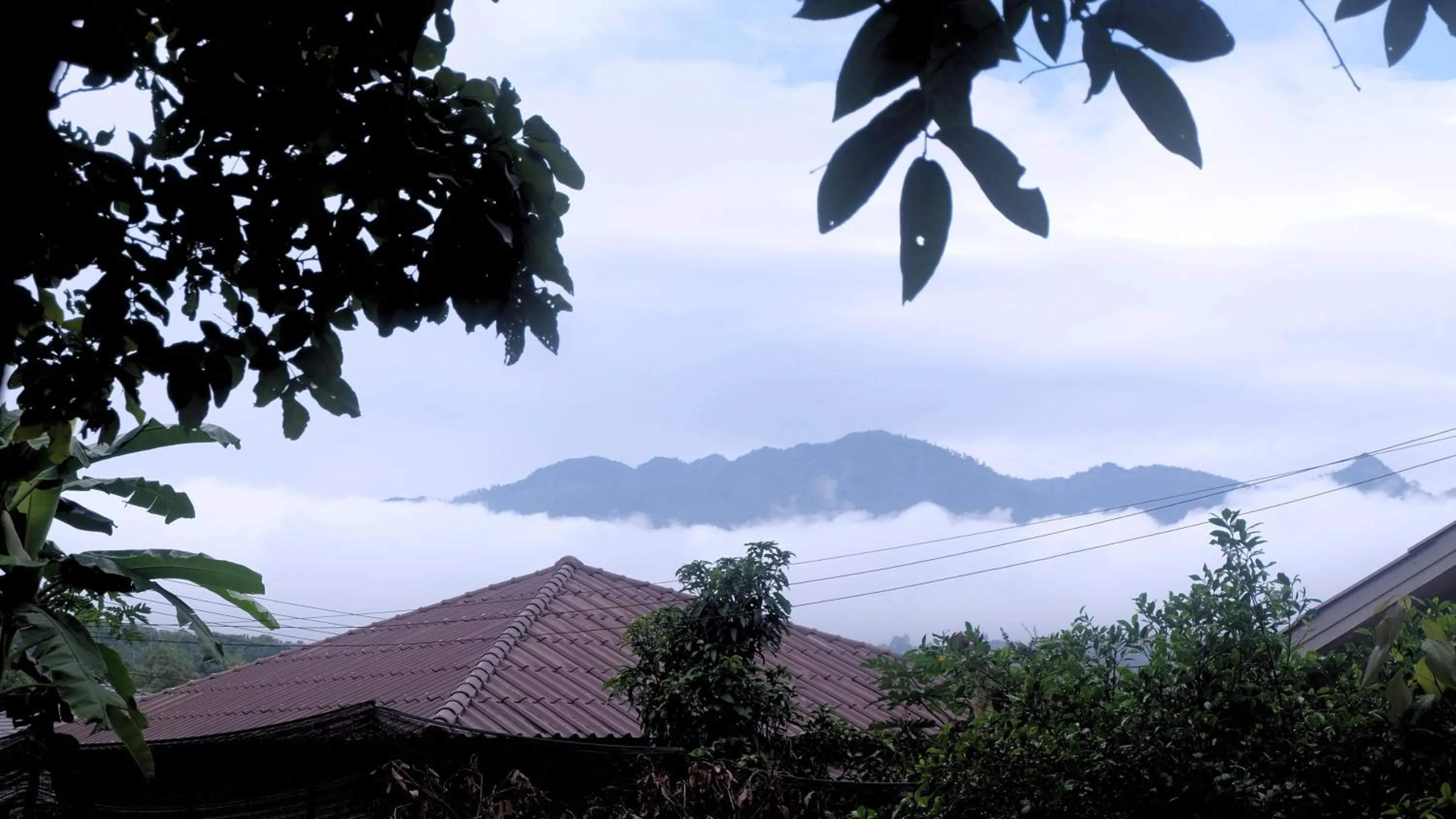 View (from property/room) in A-Thip House