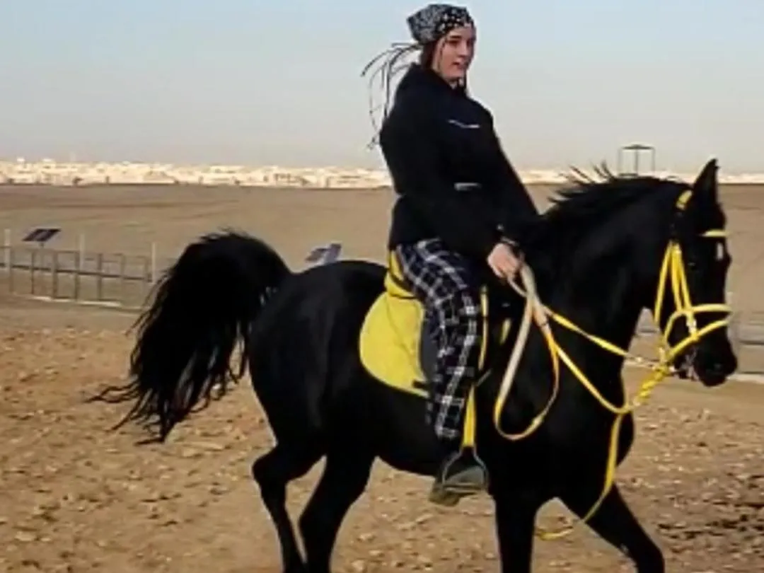 Day in Falcon pyramids inn