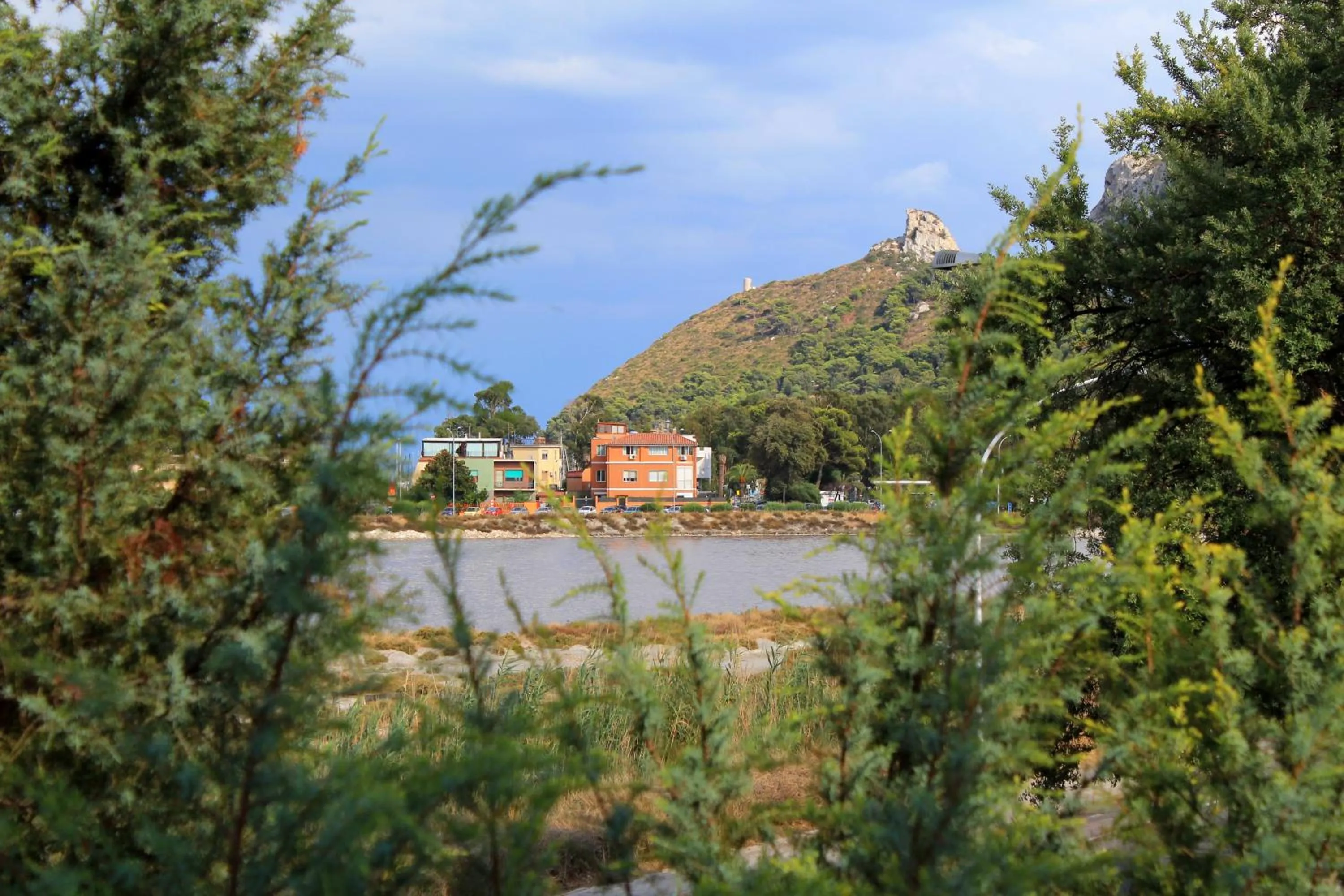 View (from property/room) in La Tuia e il Tasso