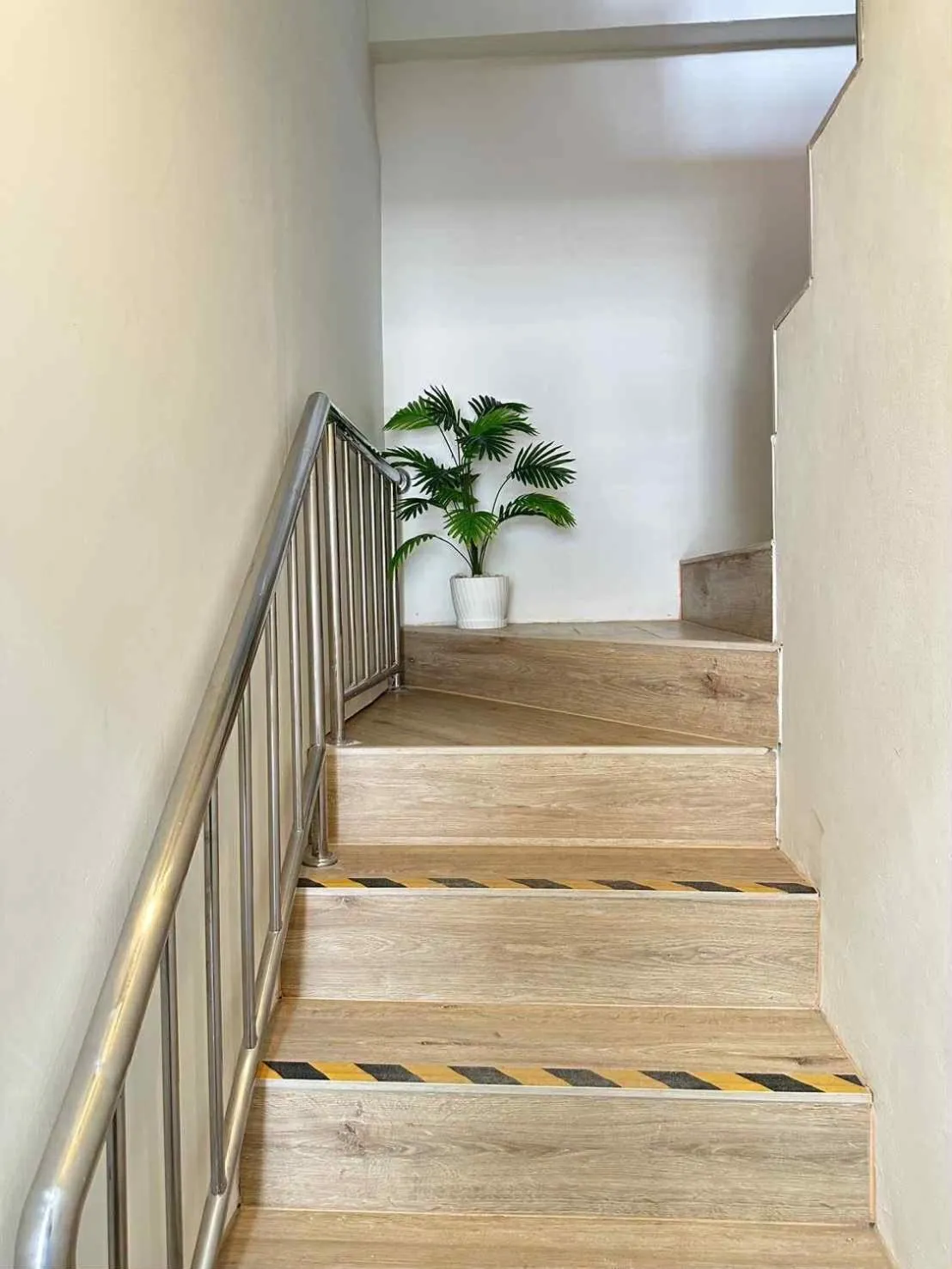 Jellyfish Residence Patong