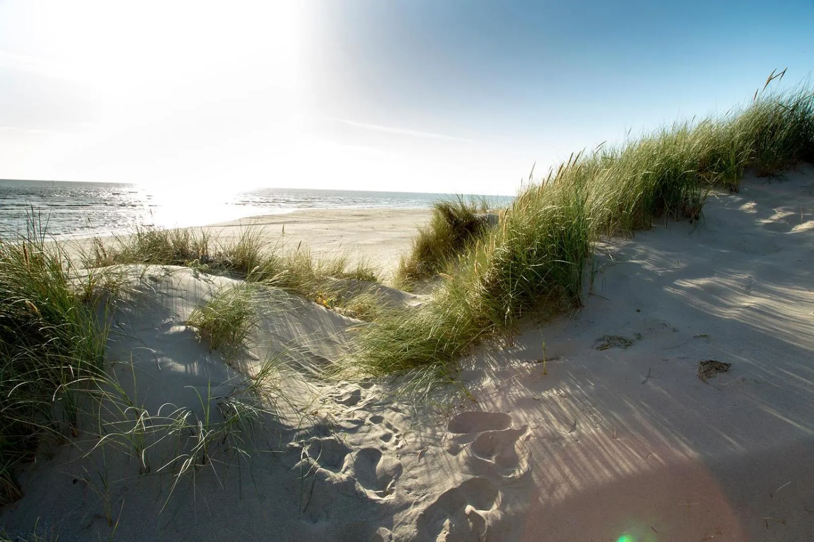 Beach in Barmouth Bay Holiday Park