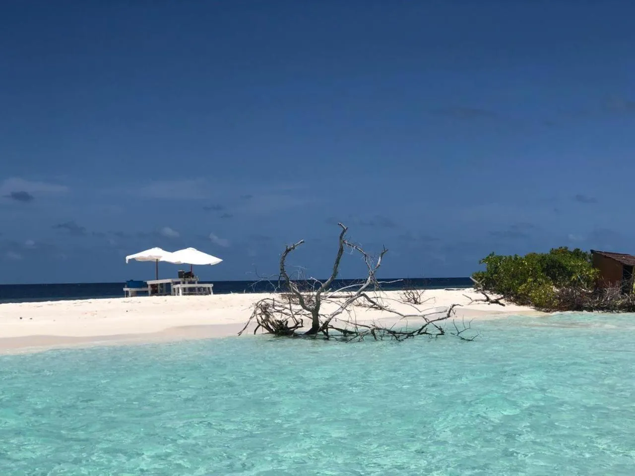 Natural landscape in Liberty Guesthouse Maldives