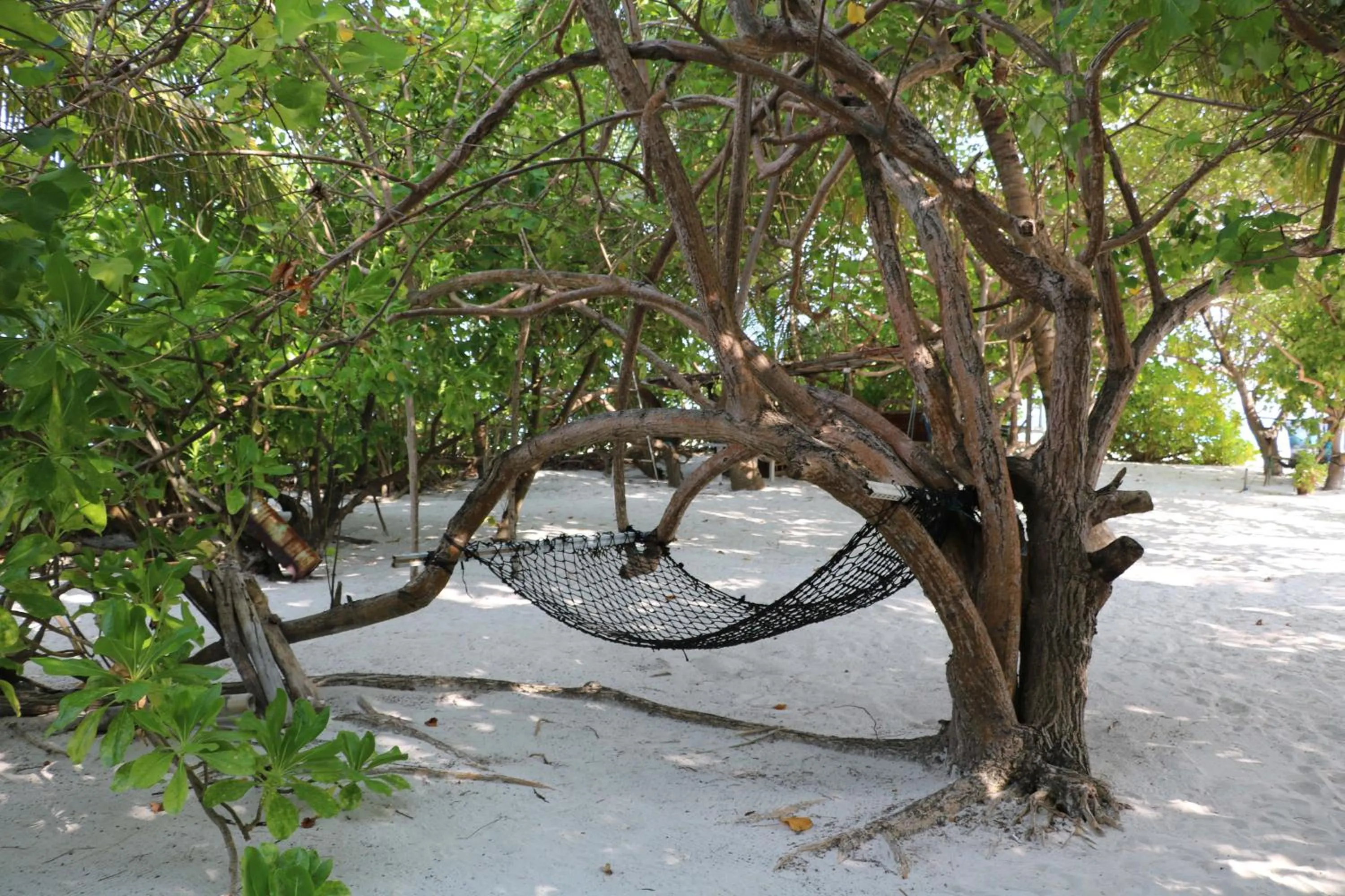 Beach in Liberty Guesthouse Maldives