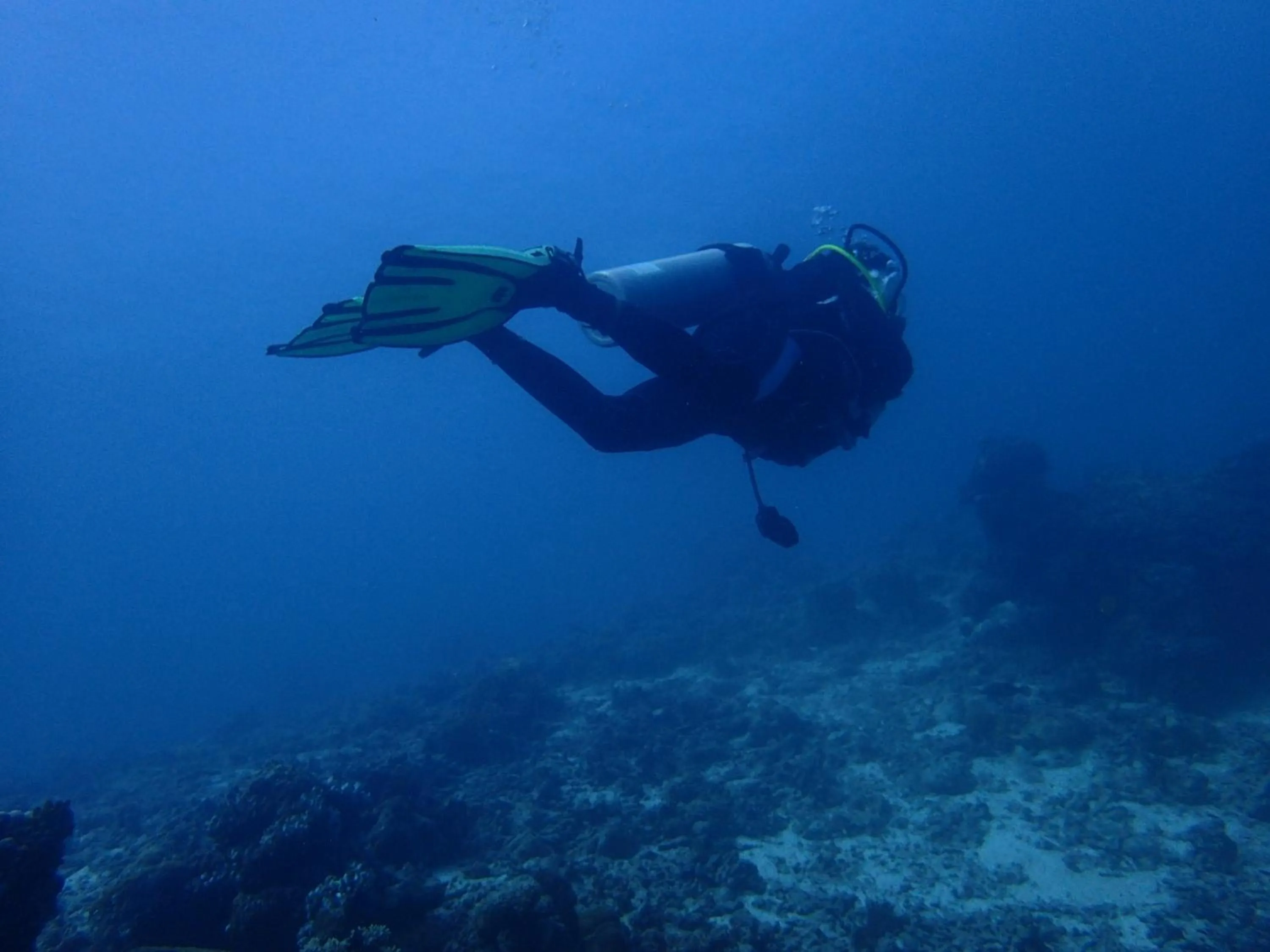 Diving in Liberty Guesthouse Maldives
