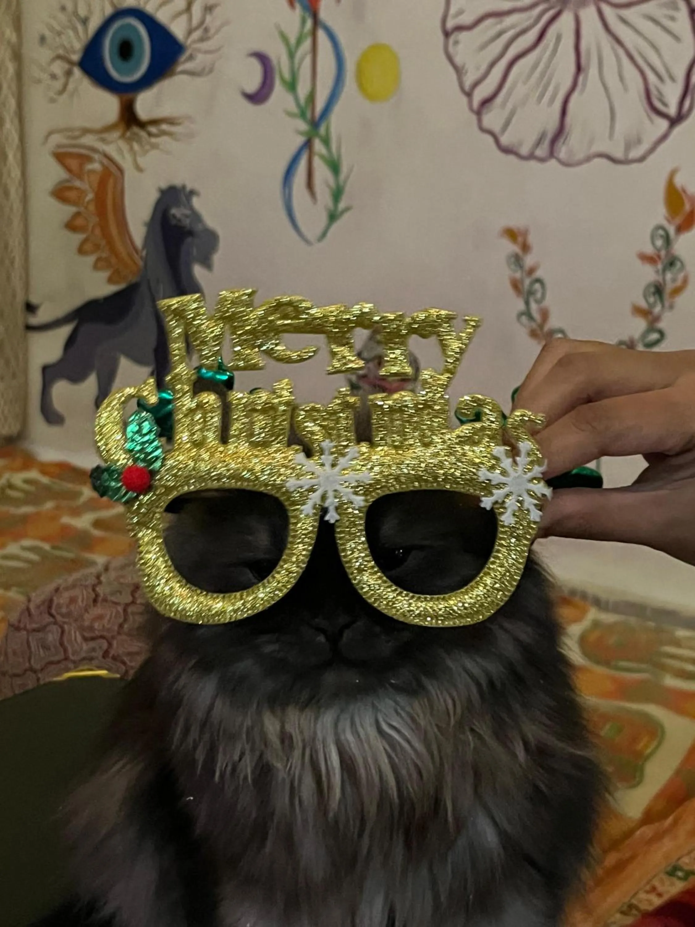 Restaurant/places to eat in The Pink Chapter Hostel, Jaipur