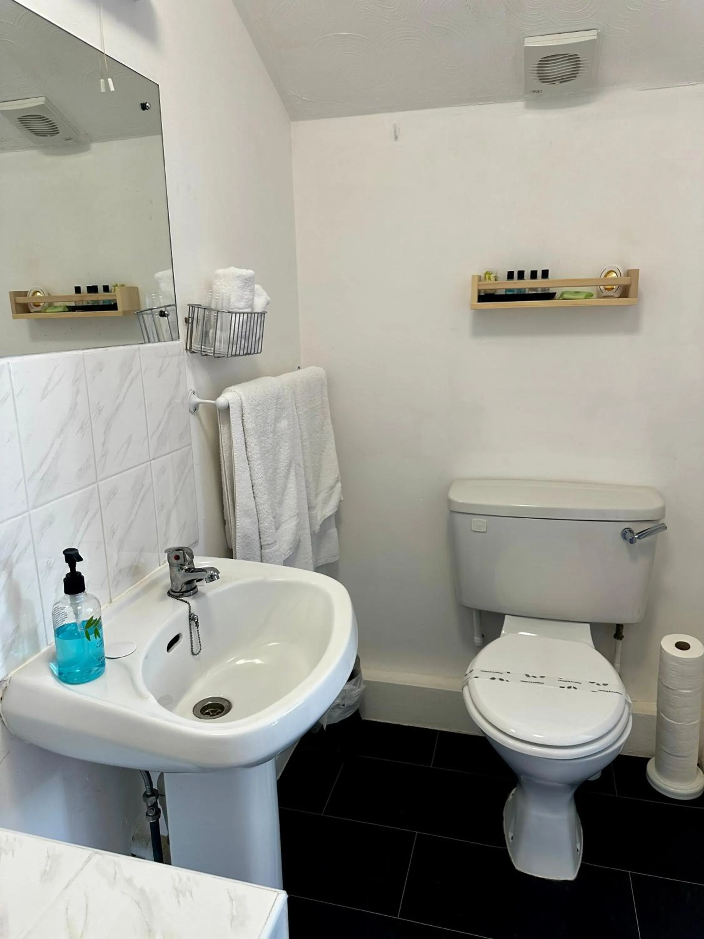 Toilet in The Kings Head Inn