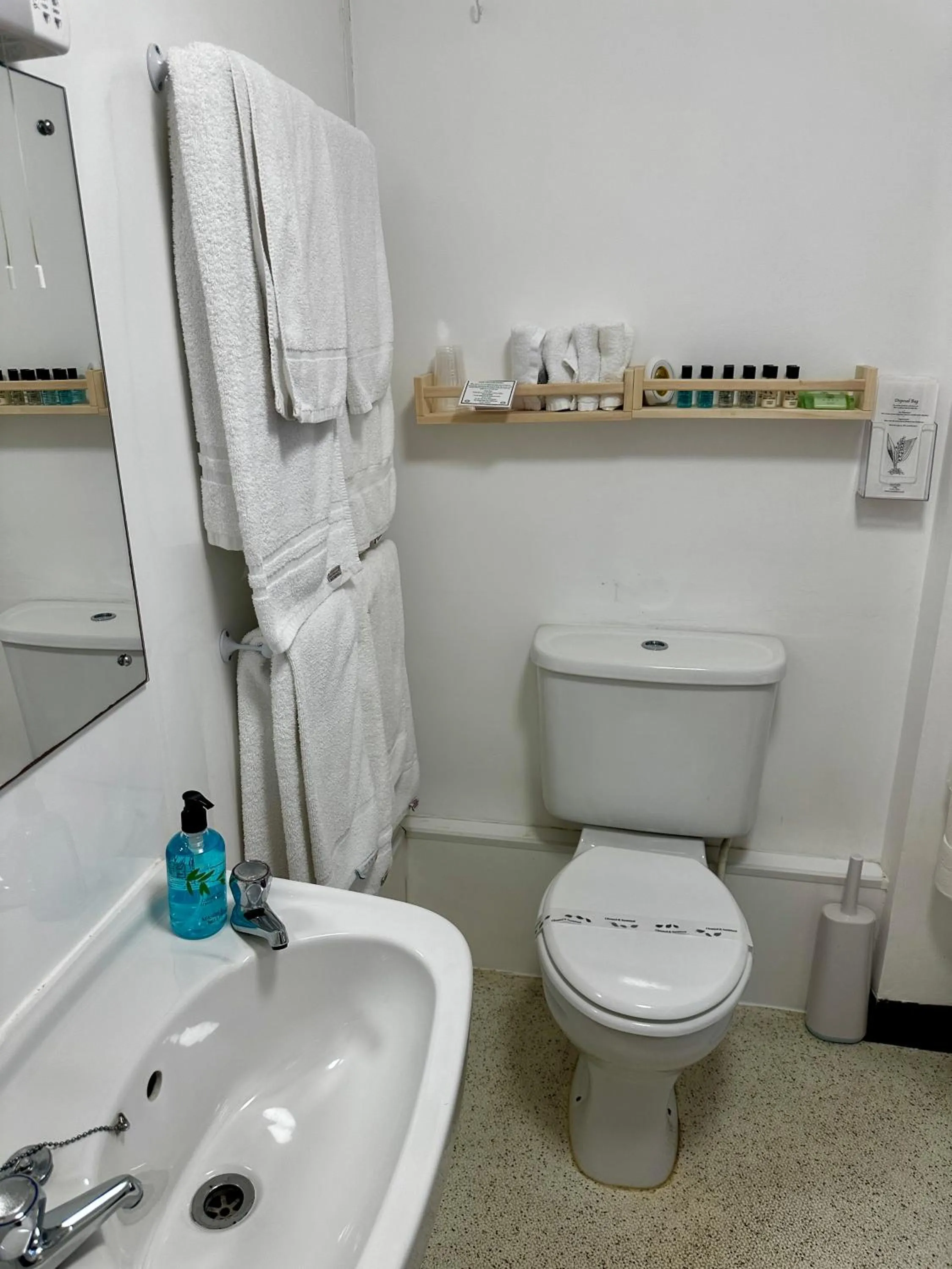 Toilet in The Kings Head Inn