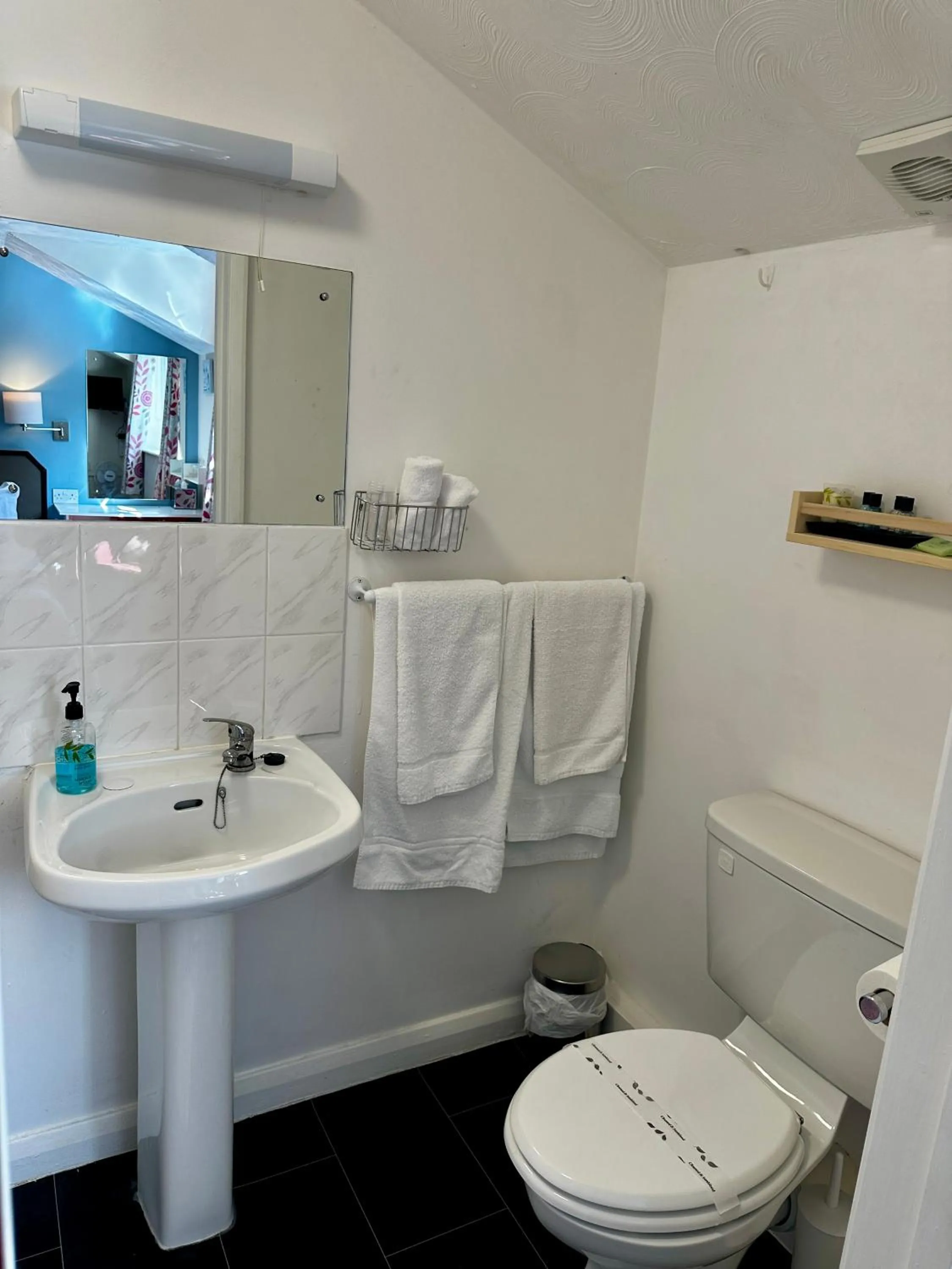 Toilet in The Kings Head Inn