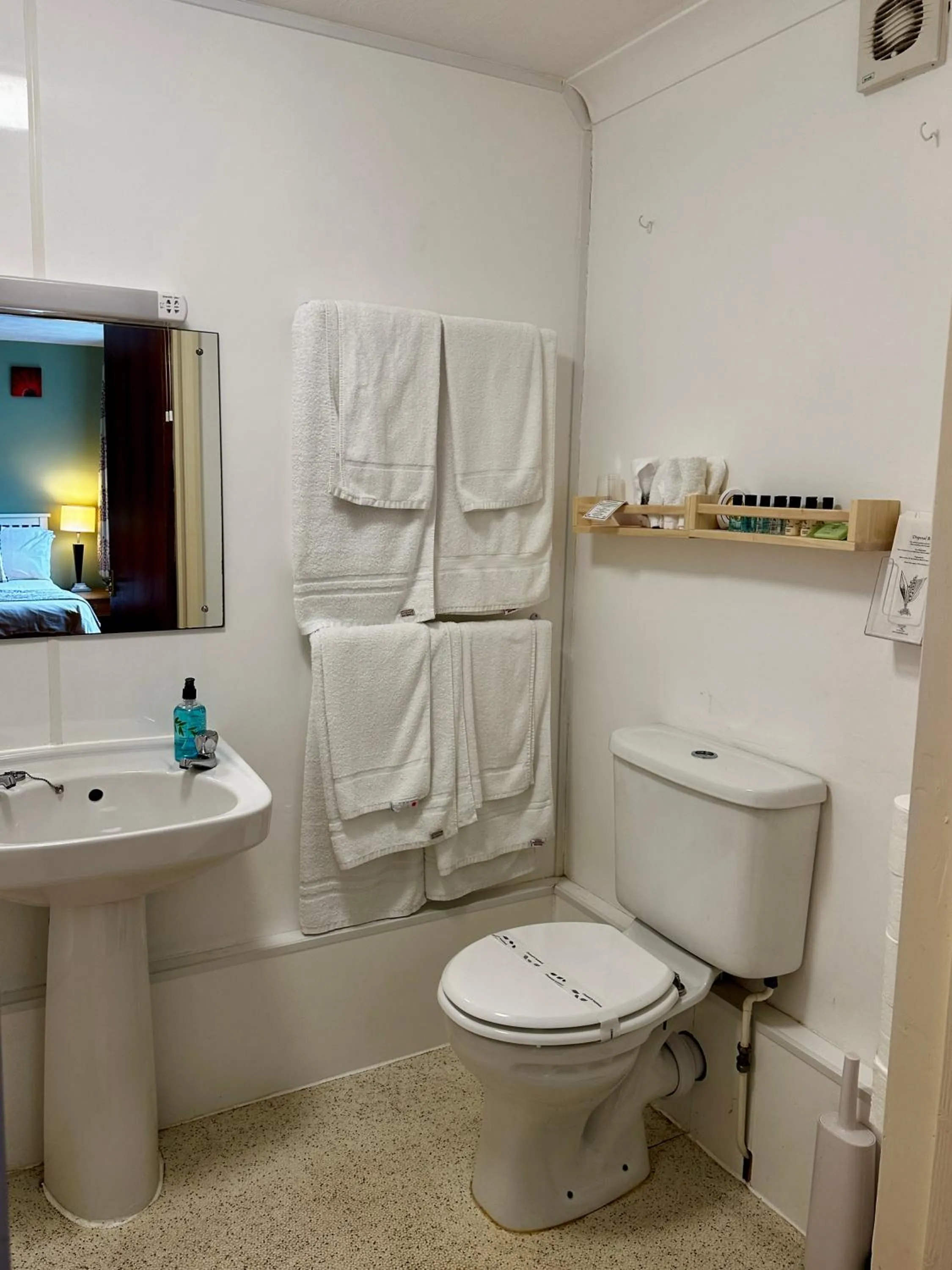 Toilet in The Kings Head Inn