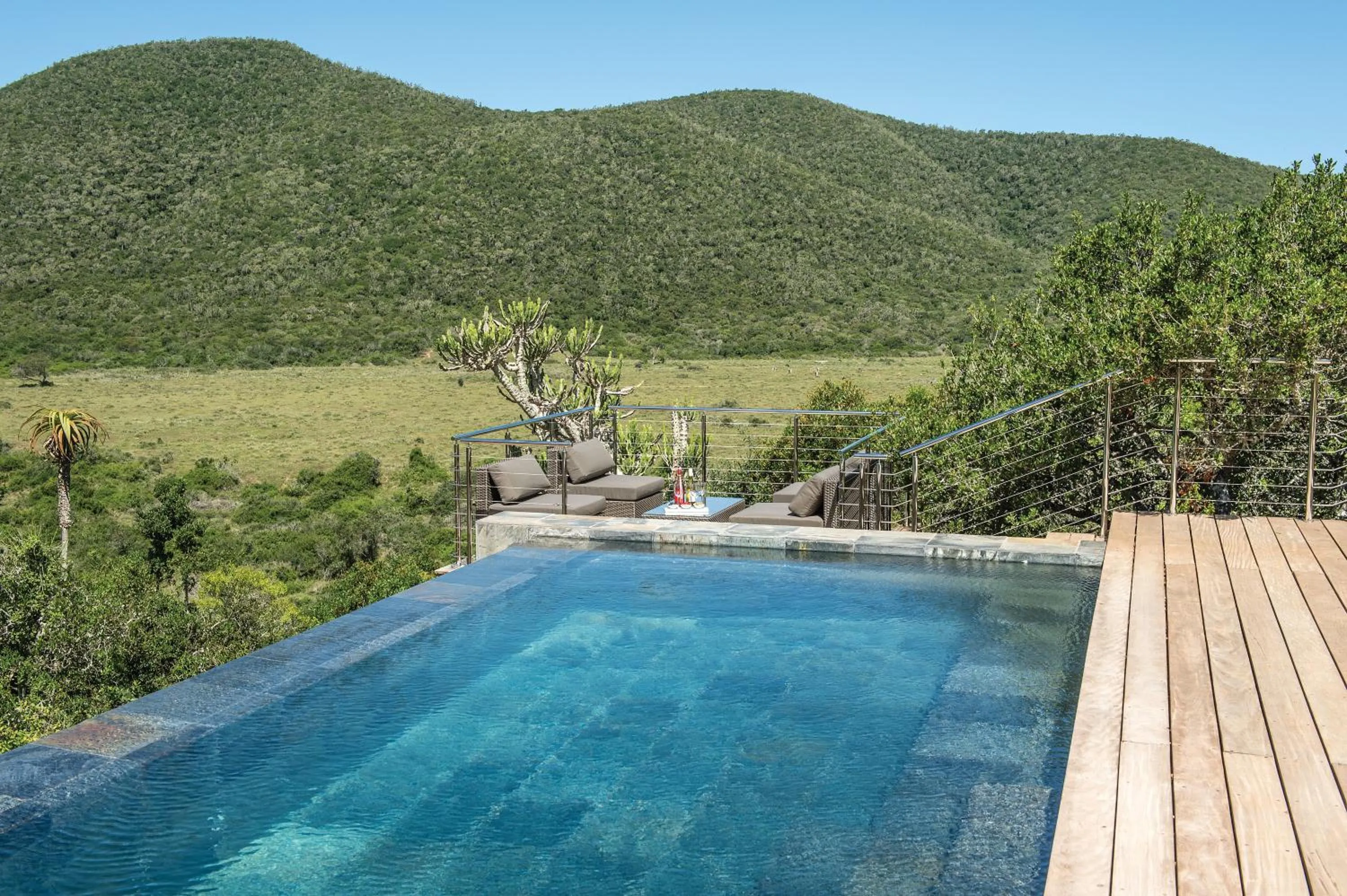 Swimming pool in Kariega Game Reserve Settlers Drift