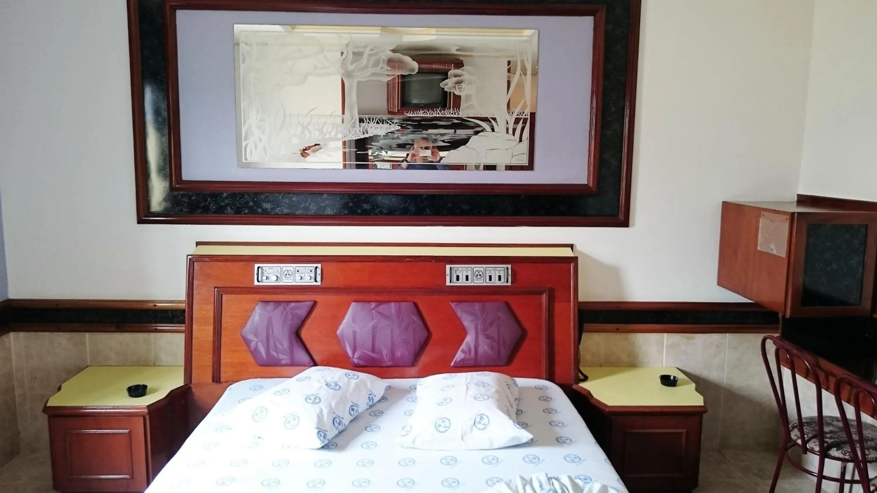 Decorative detail, Bed in North Palace Hotel