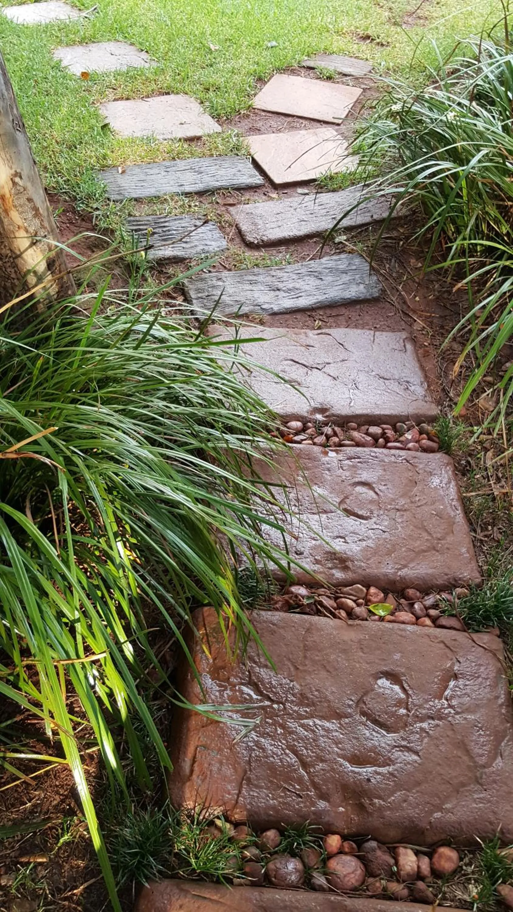 Garden in African Silhouette Guesthouse