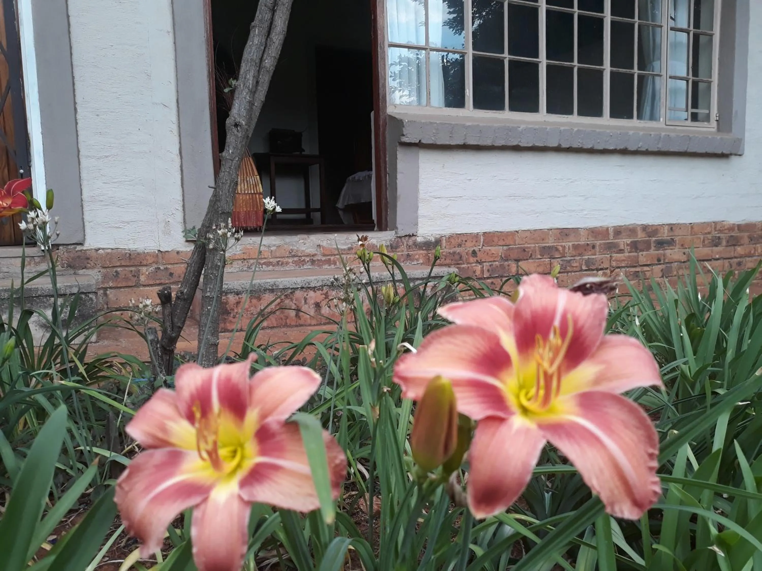 Facade/entrance in African Silhouette Guesthouse