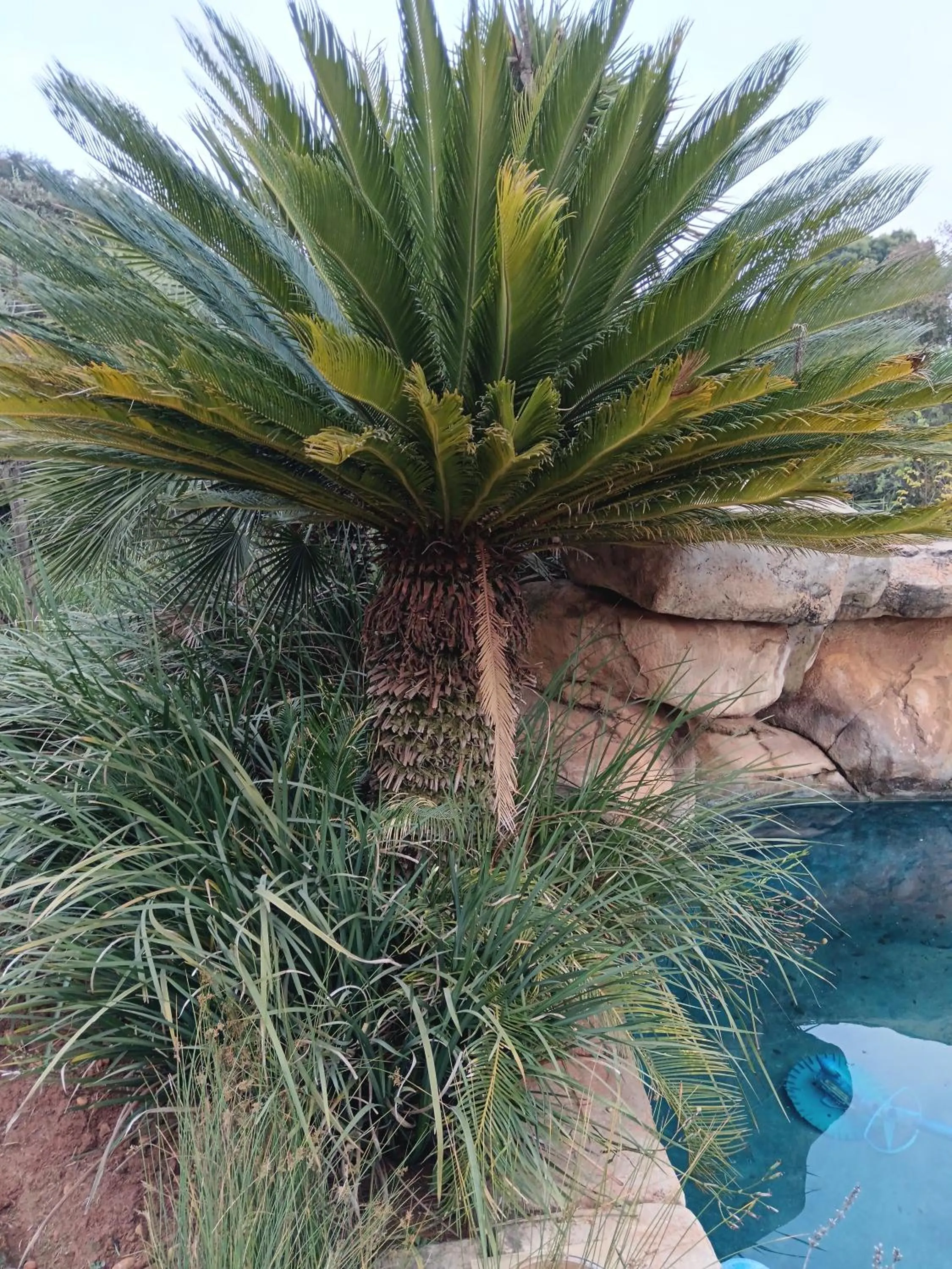 African Silhouette Guesthouse