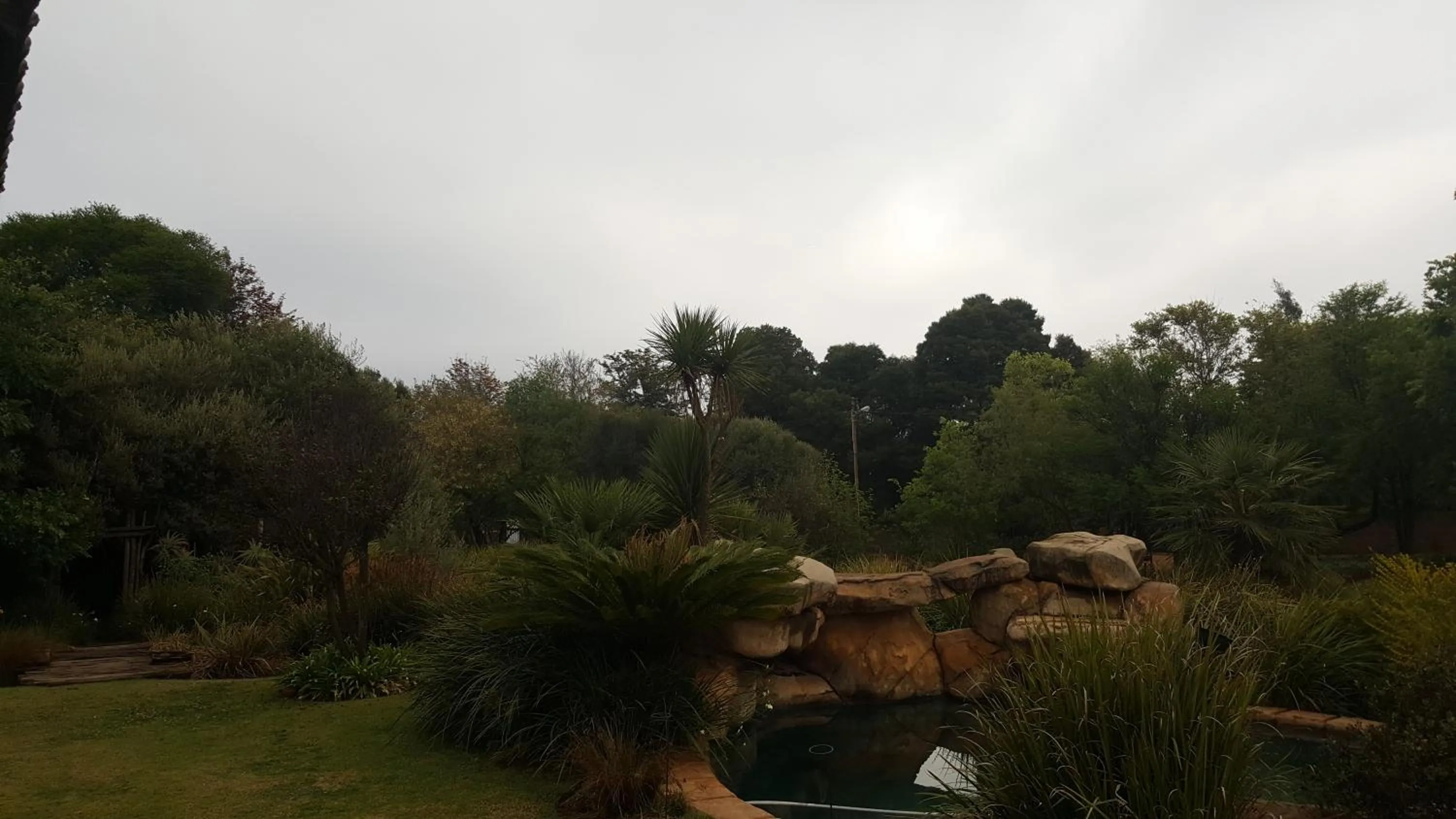 Swimming pool in African Silhouette Guesthouse