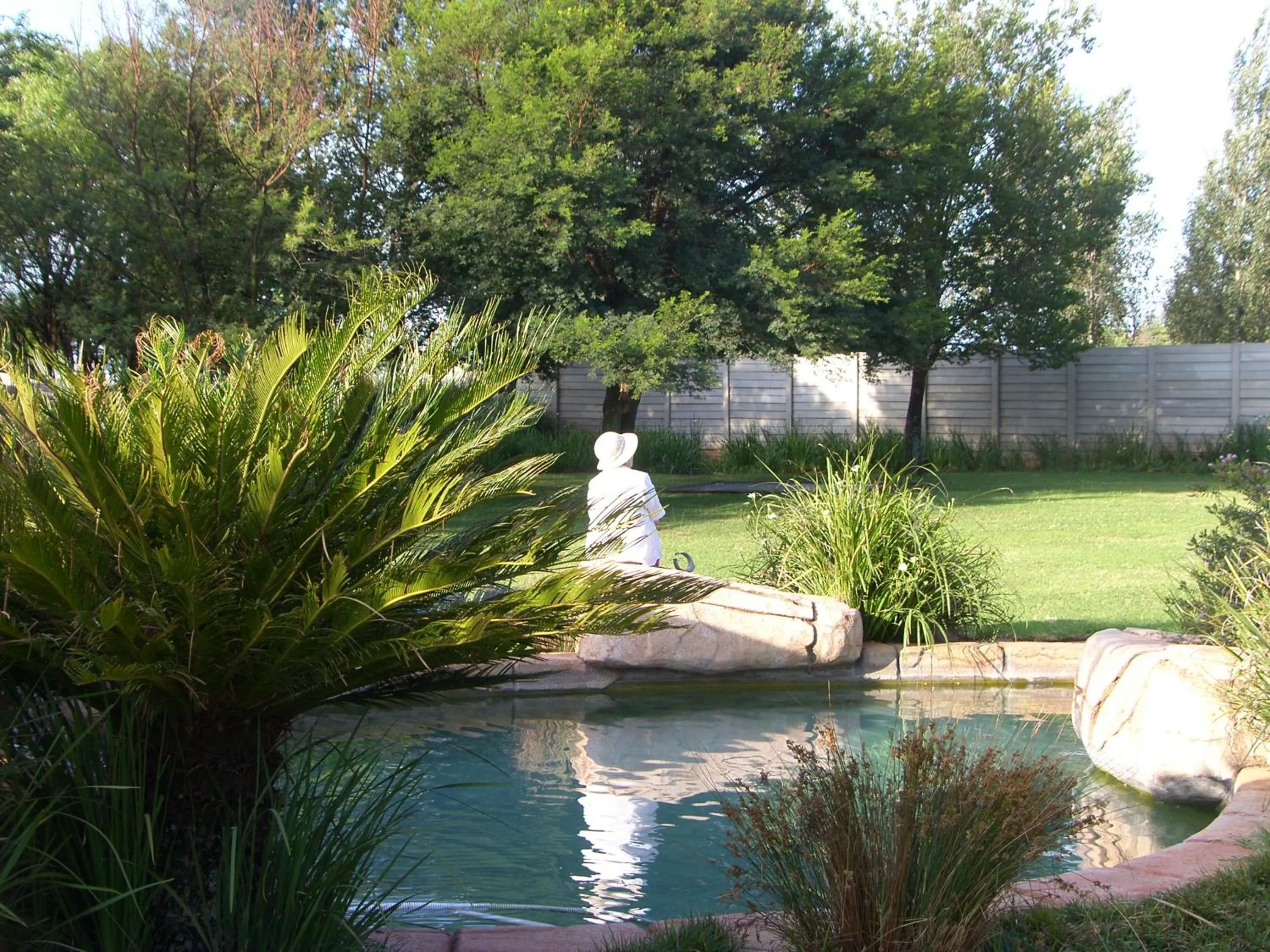 Swimming pool in African Silhouette Guesthouse
