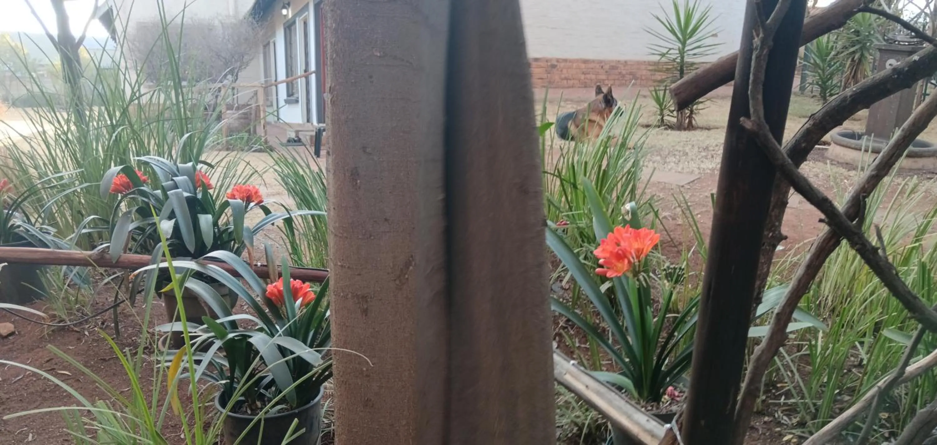 African Silhouette Guesthouse