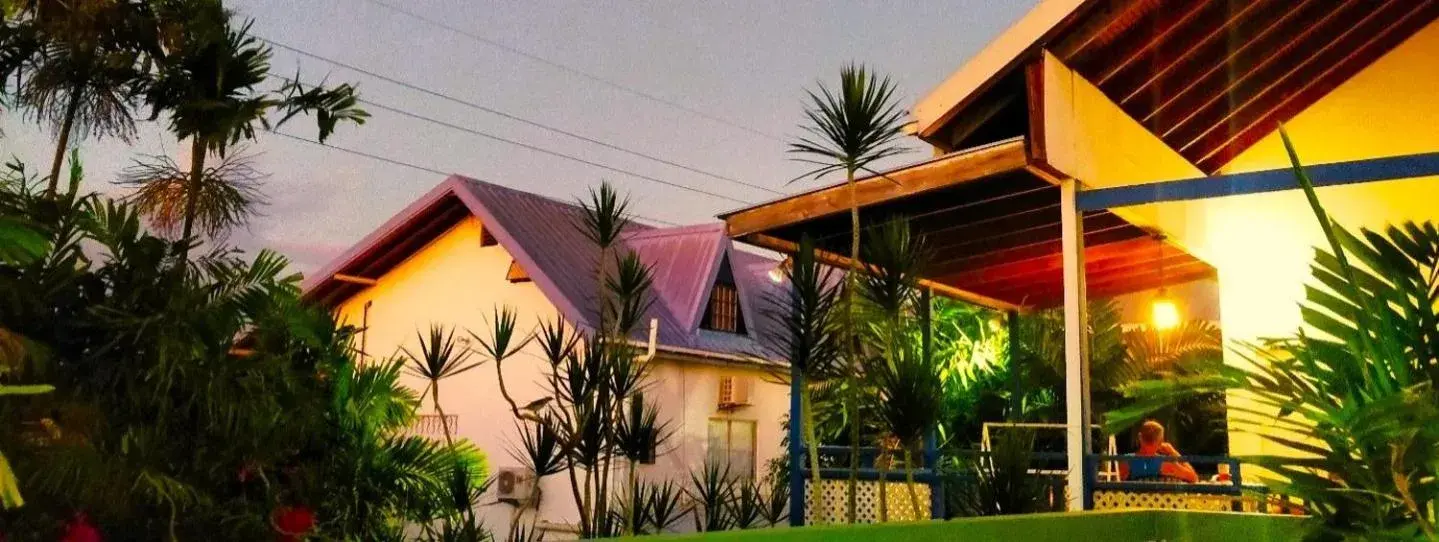 Bananaquit Tobago -Stay Near the Beach Bananaquit Tobago -Stay Near the Beach