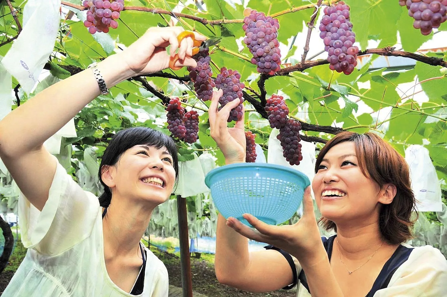 Activities in Shorenji Lake Hotel