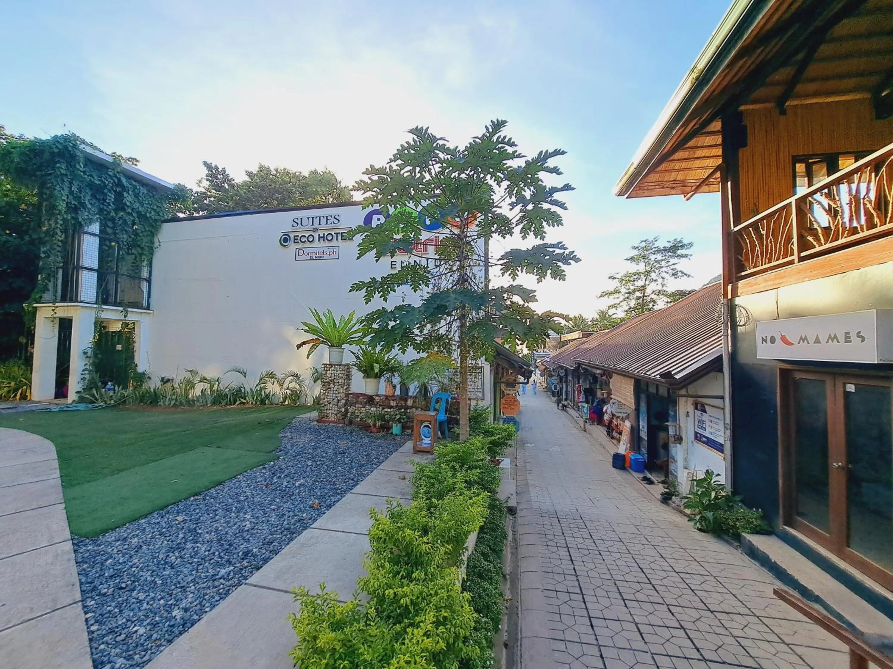 Property building in Dormitelsph El Nido