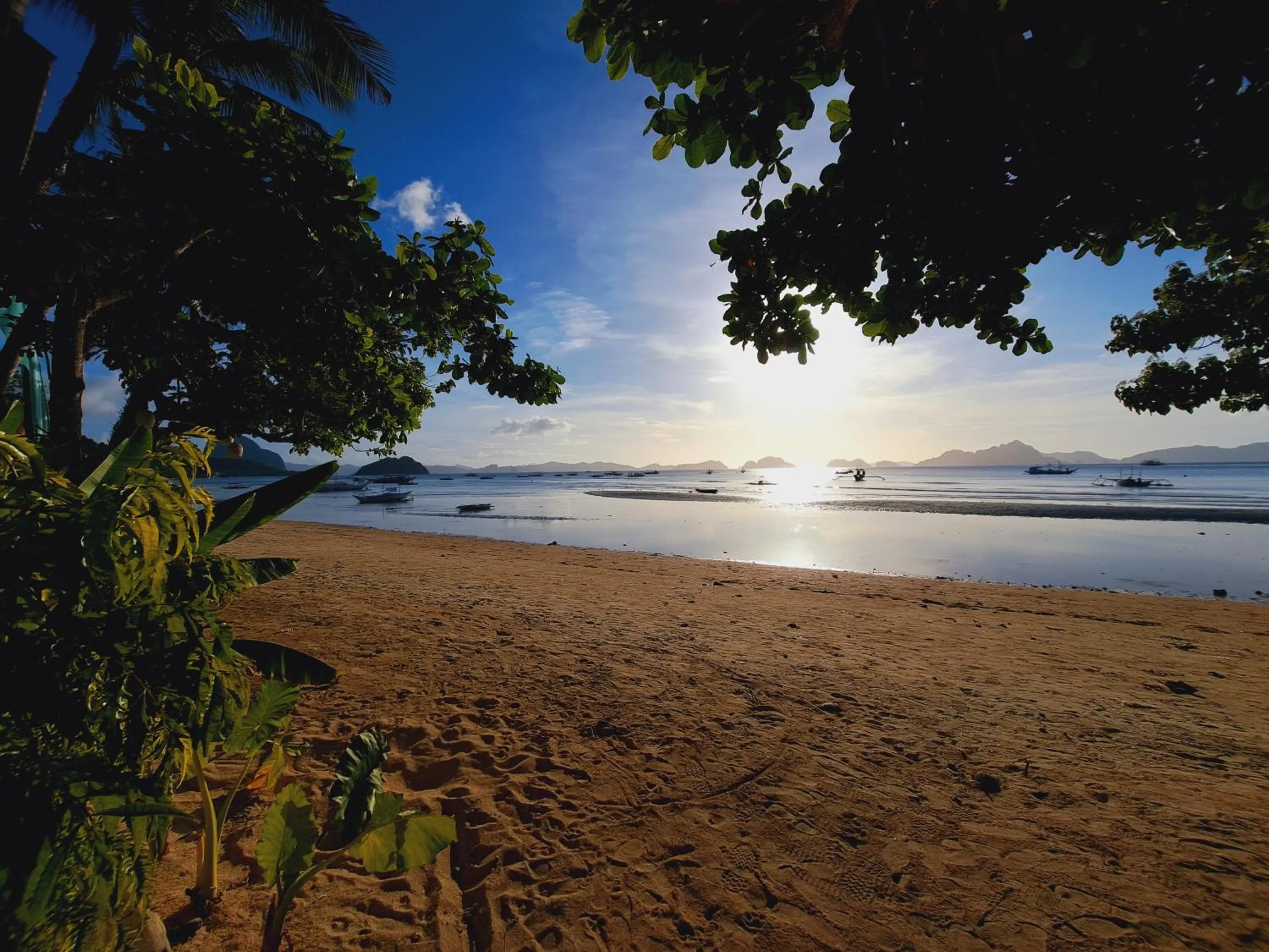 Property building in Dormitelsph El Nido