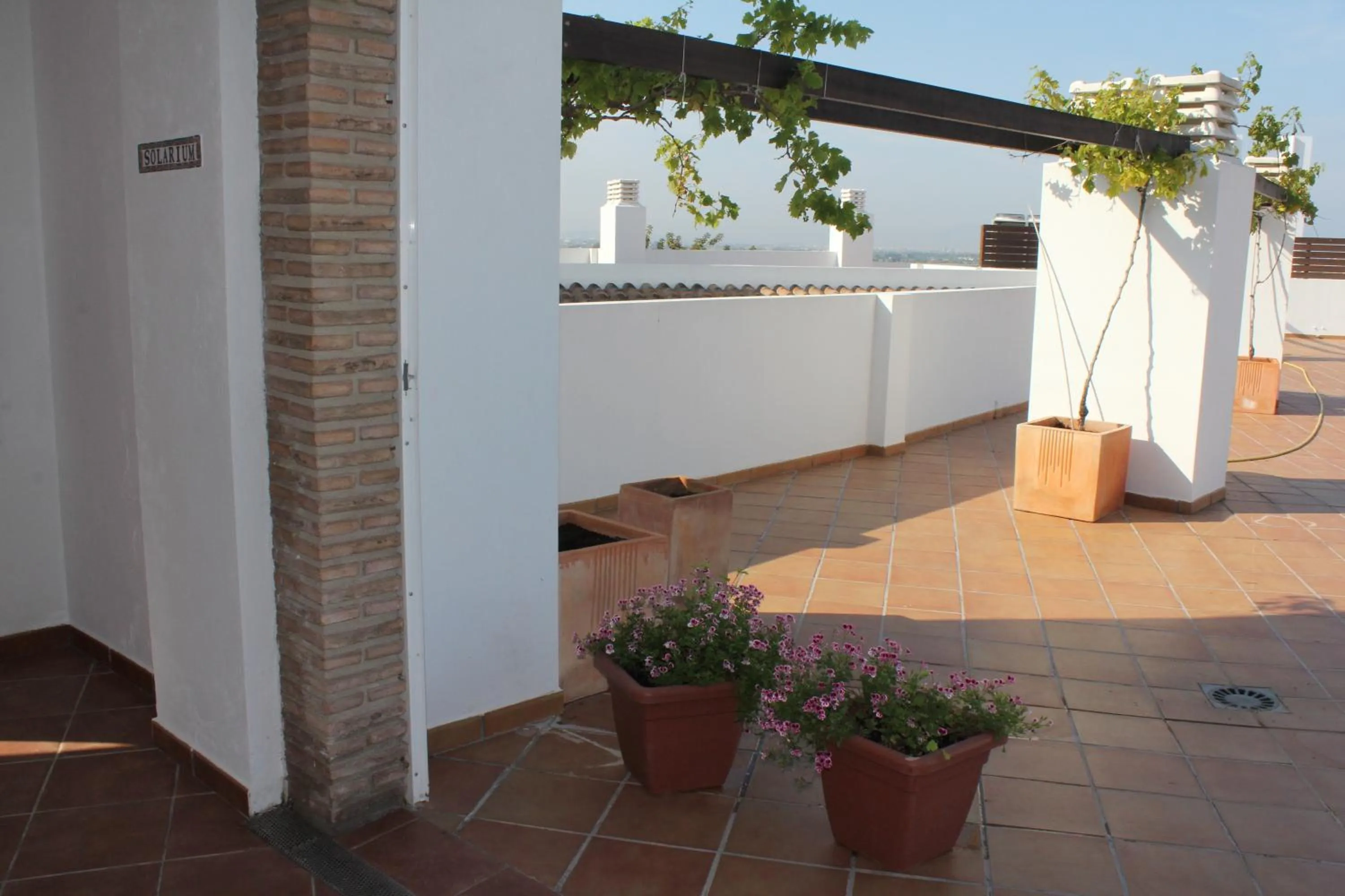 Balcony/Terrace in Aparthotel Puerto Mar