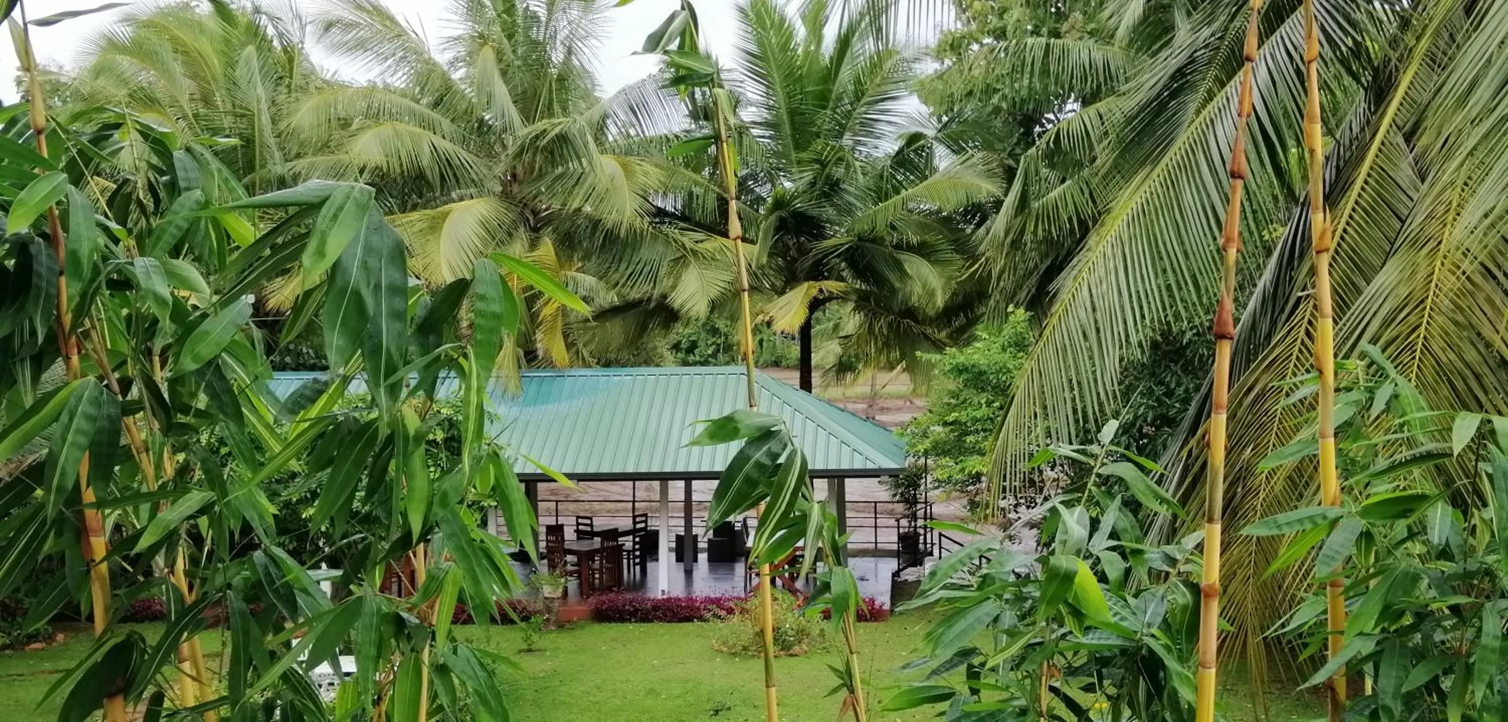 Spring in Rajarata Family Resort