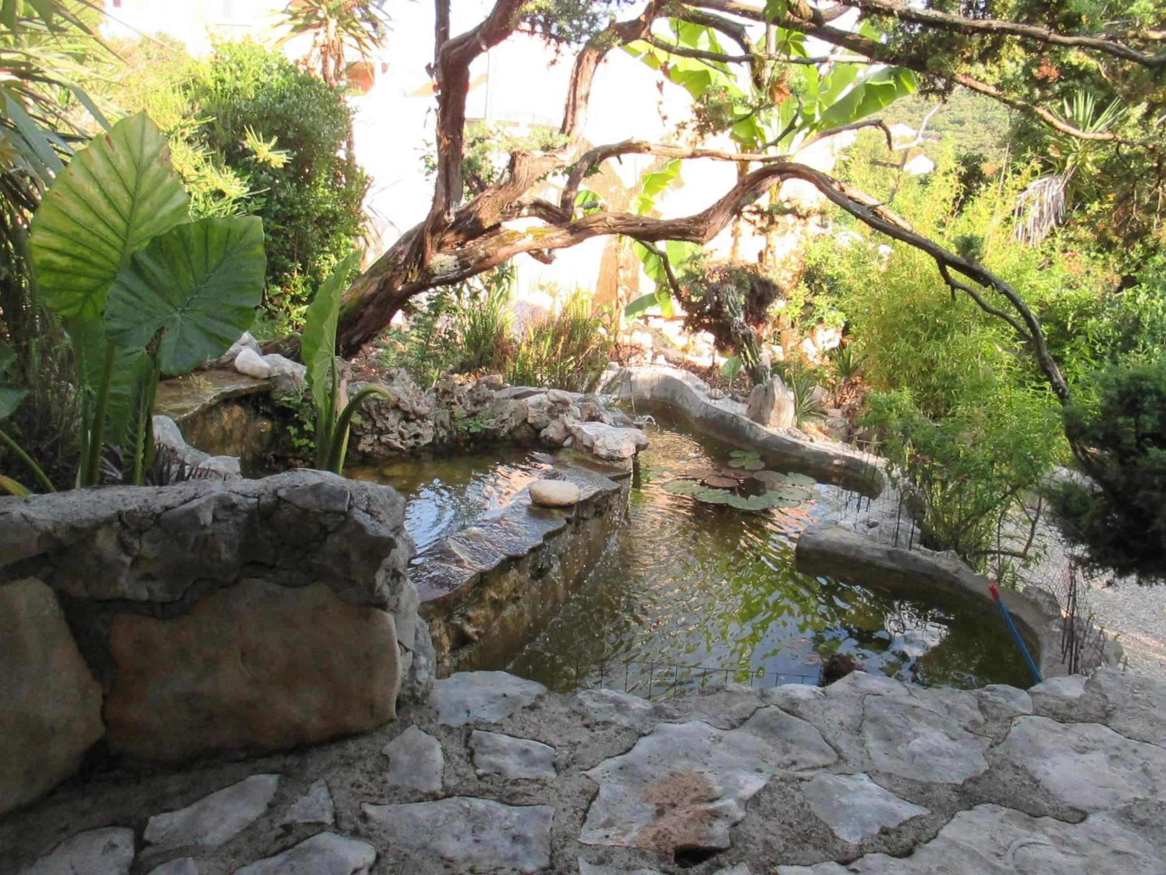 Garden in Relax tiny villas 40 meters of the beach
