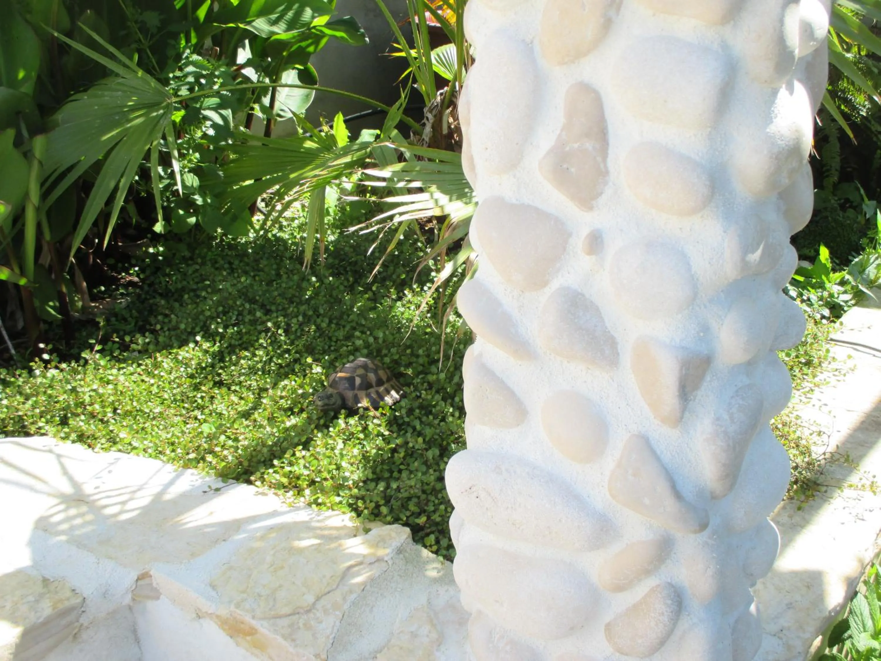 Garden in Relax tiny villas 40 meters of the beach