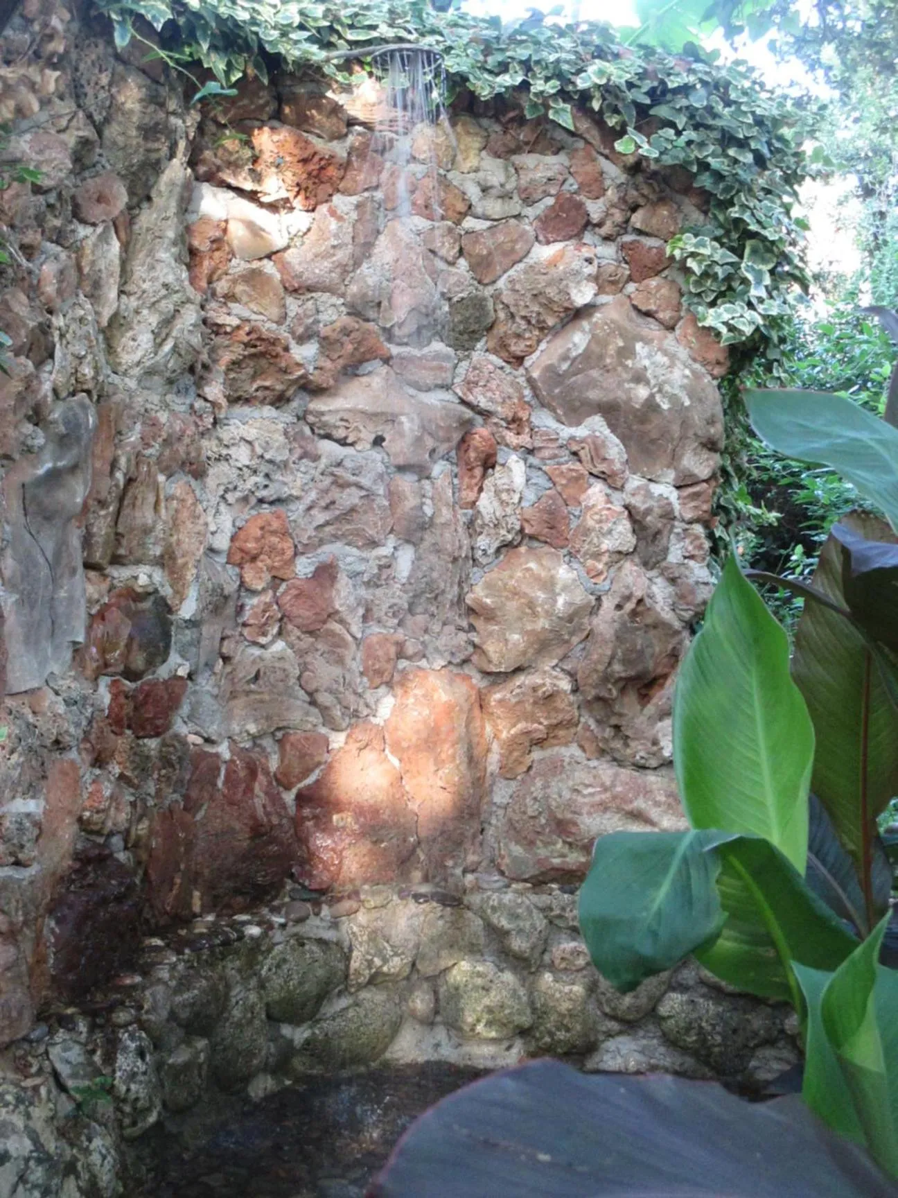 Garden in Relax tiny villas 40 meters of the beach