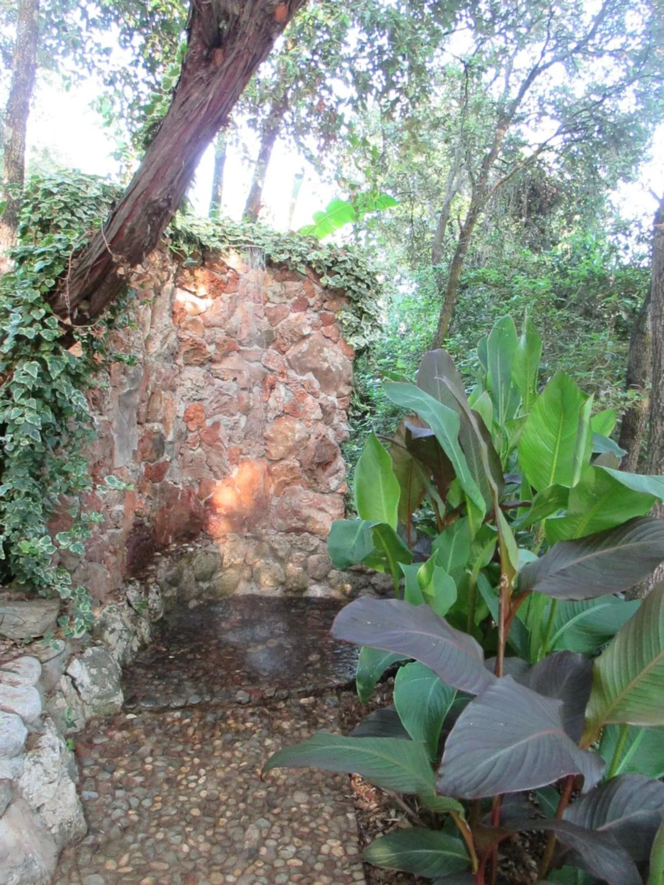 Garden in Relax tiny villas 40 meters of the beach