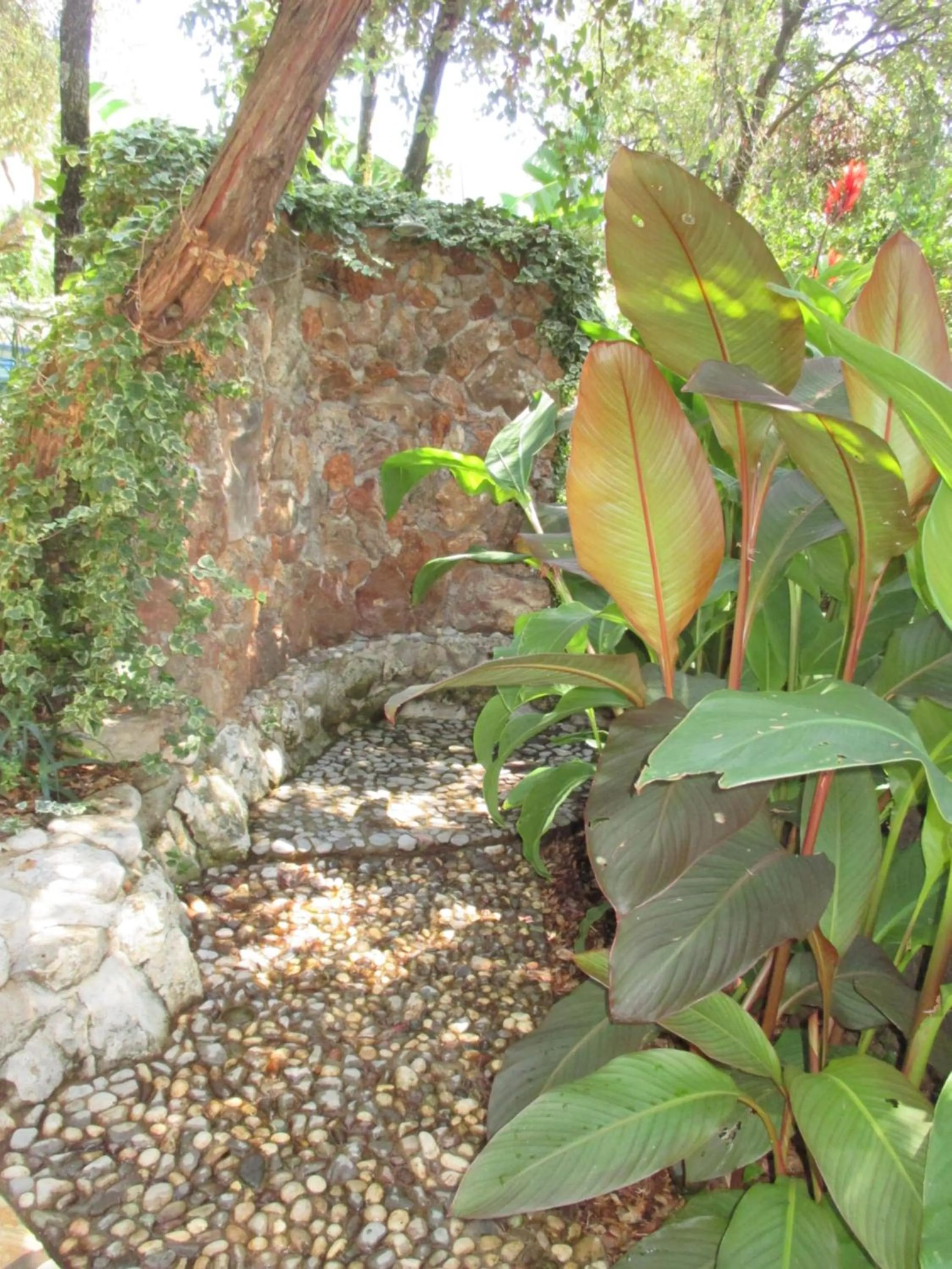 Garden in Relax tiny villas 40 meters of the beach