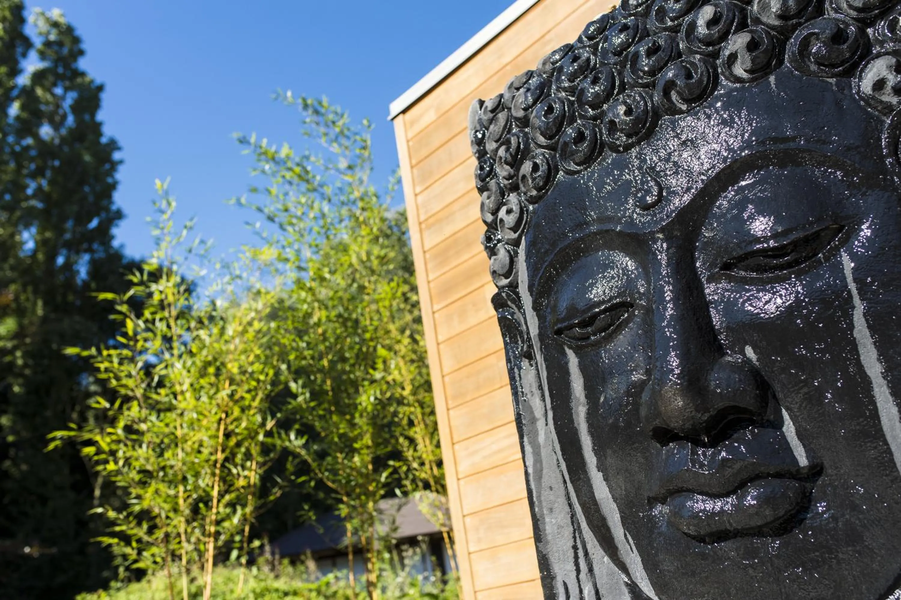 Garden in Espace Zen'ing