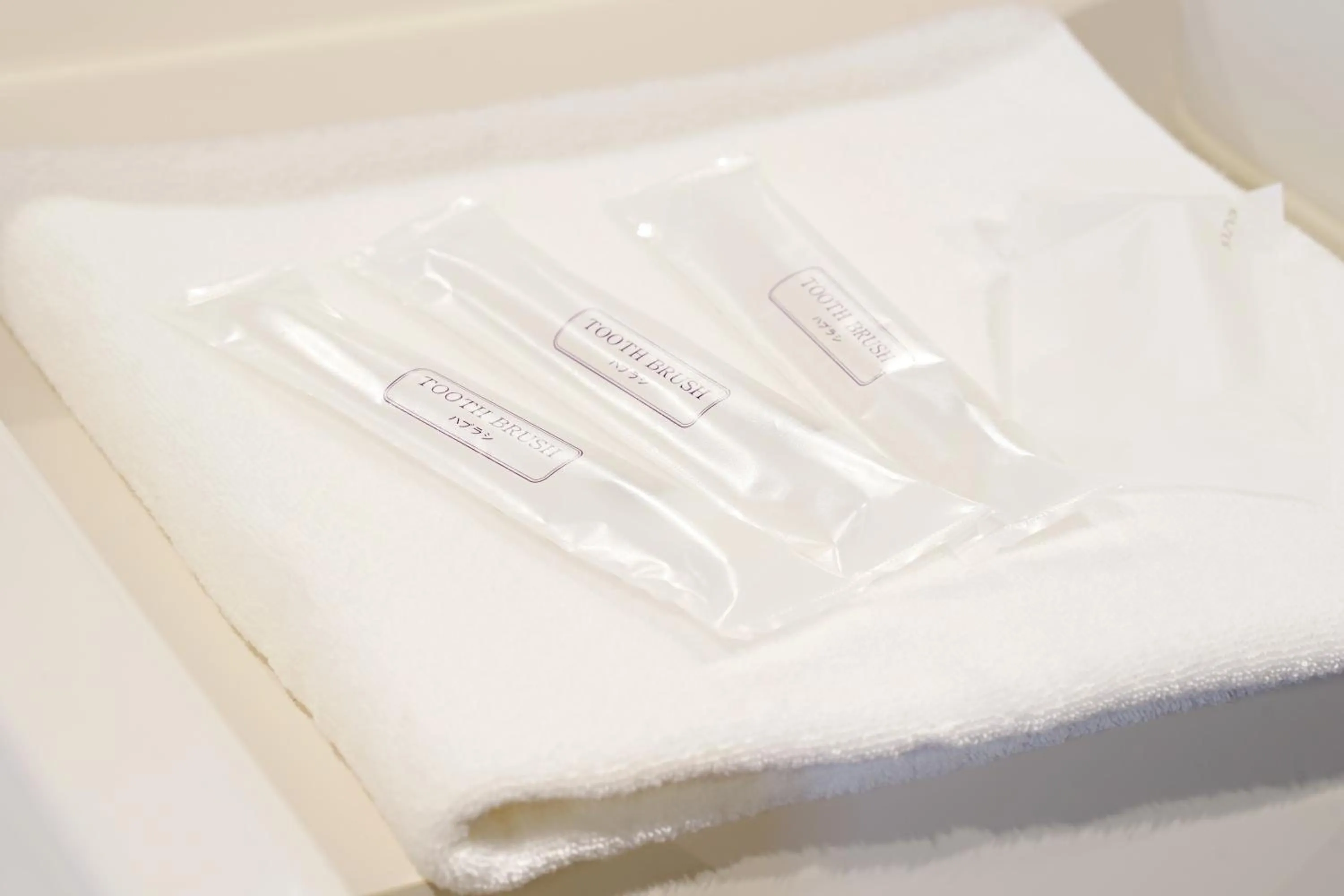 Lobby or reception in Santiago Guesthouse Hiroshima