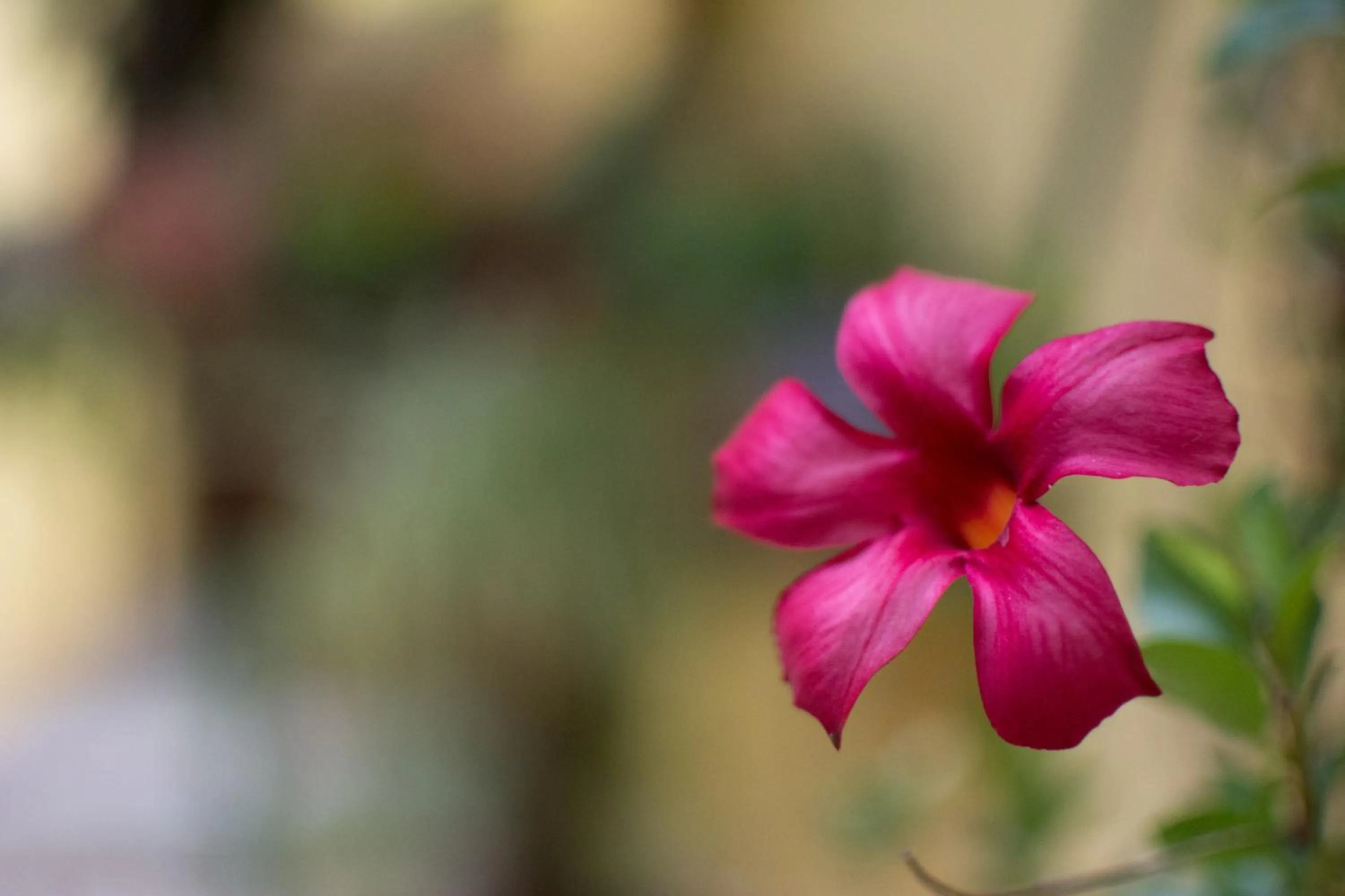 Spring in B&B Annalu'